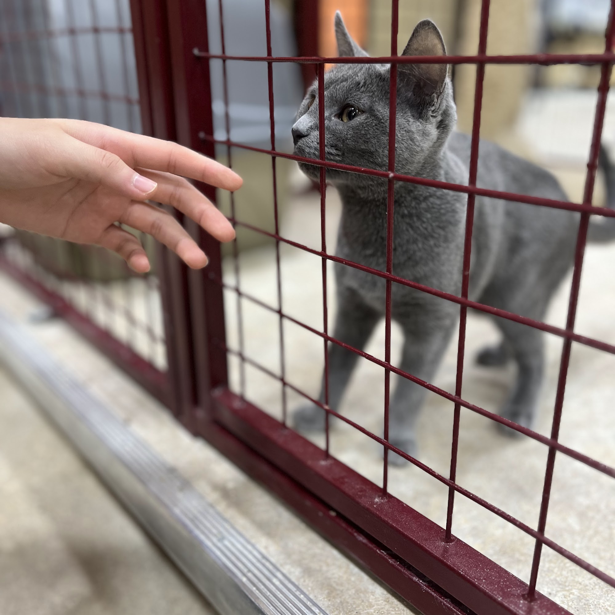 Petland Kenaston Winnipeg