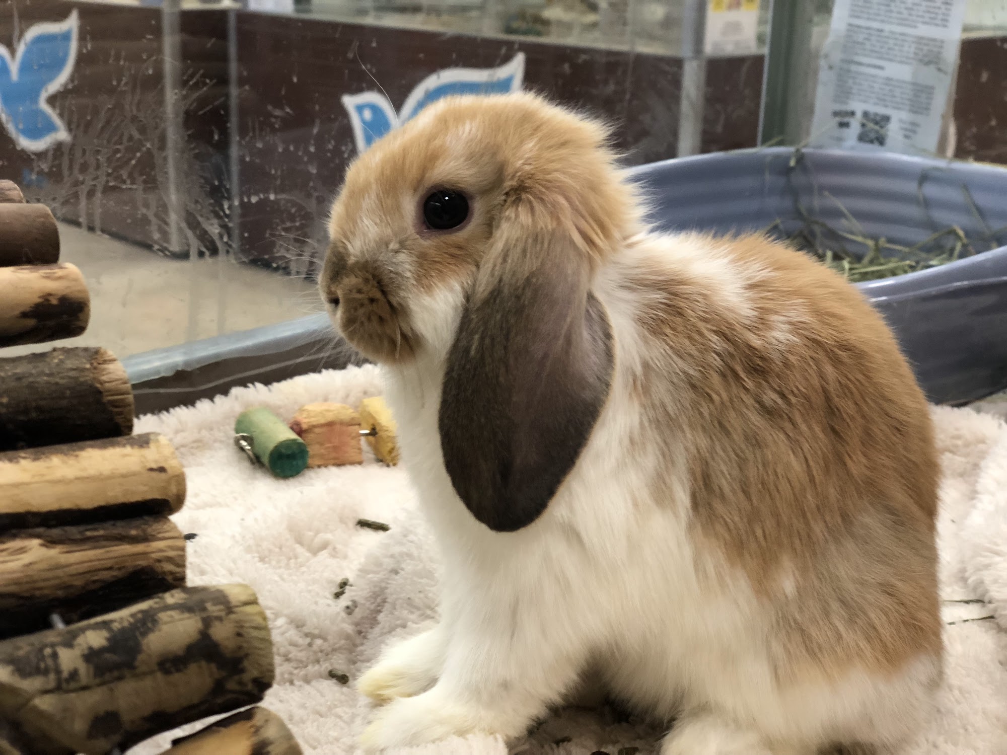 Petland Kenaston Winnipeg