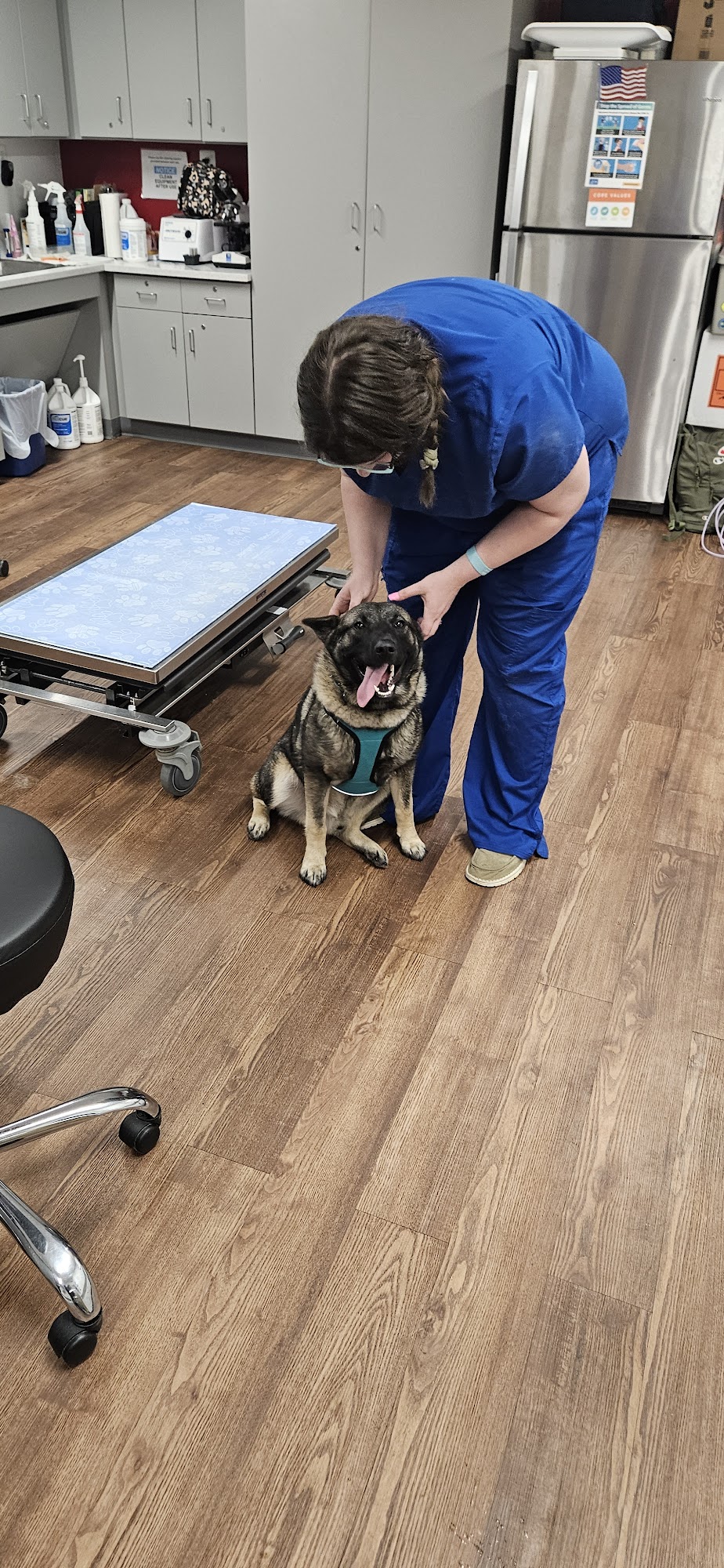 PetVet Wellness Center Aberdeen