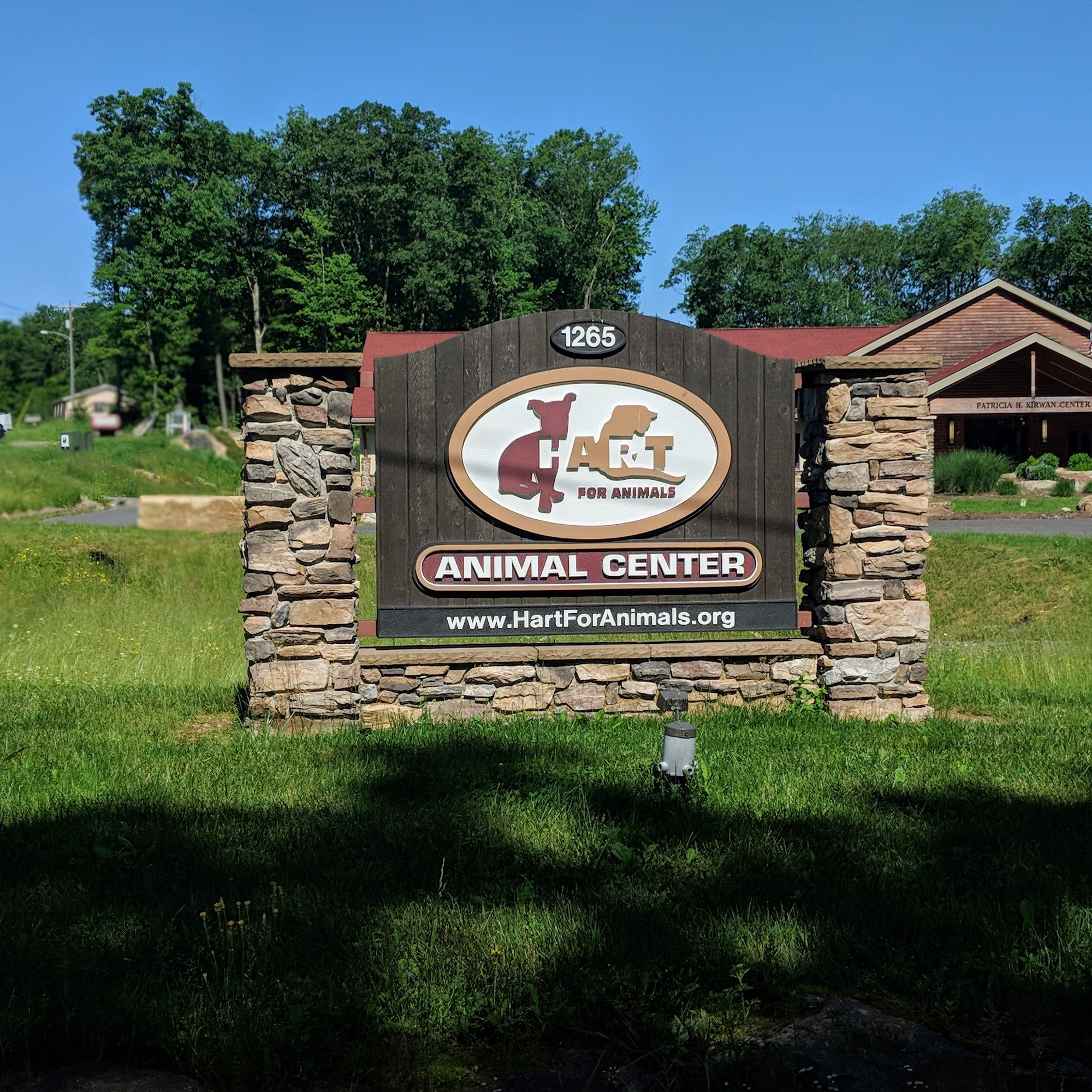 Bredel Veterinary Clinic Accident