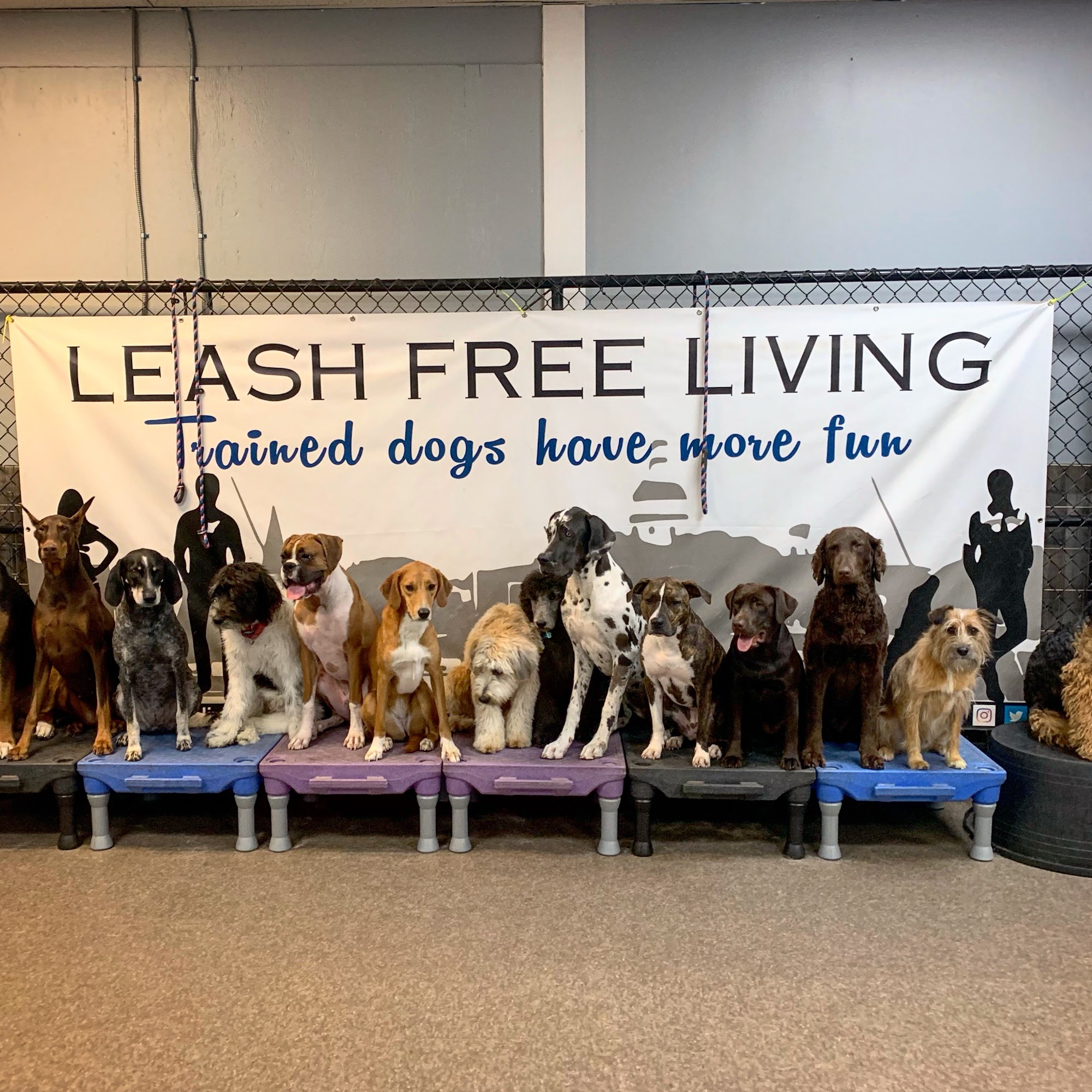 Leash Free Living Annapolis