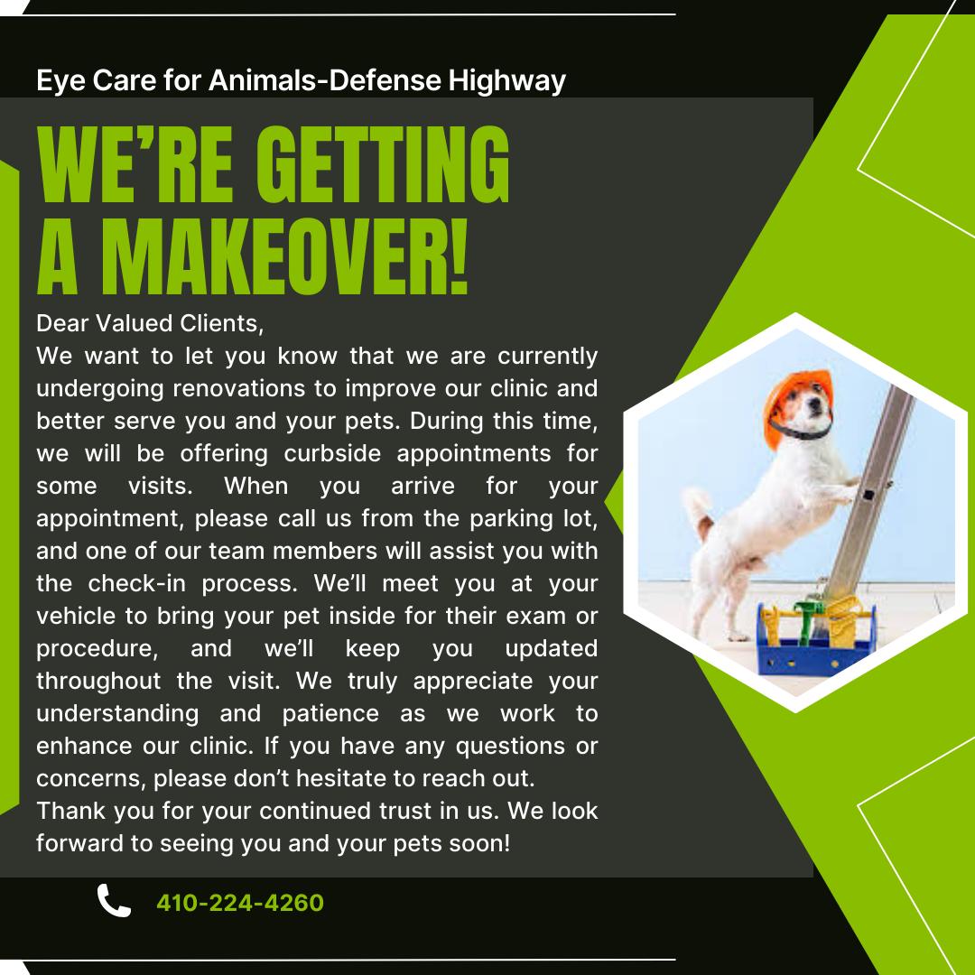 Eye Care for Animals - Annapolis Defense Hwy Annapolis