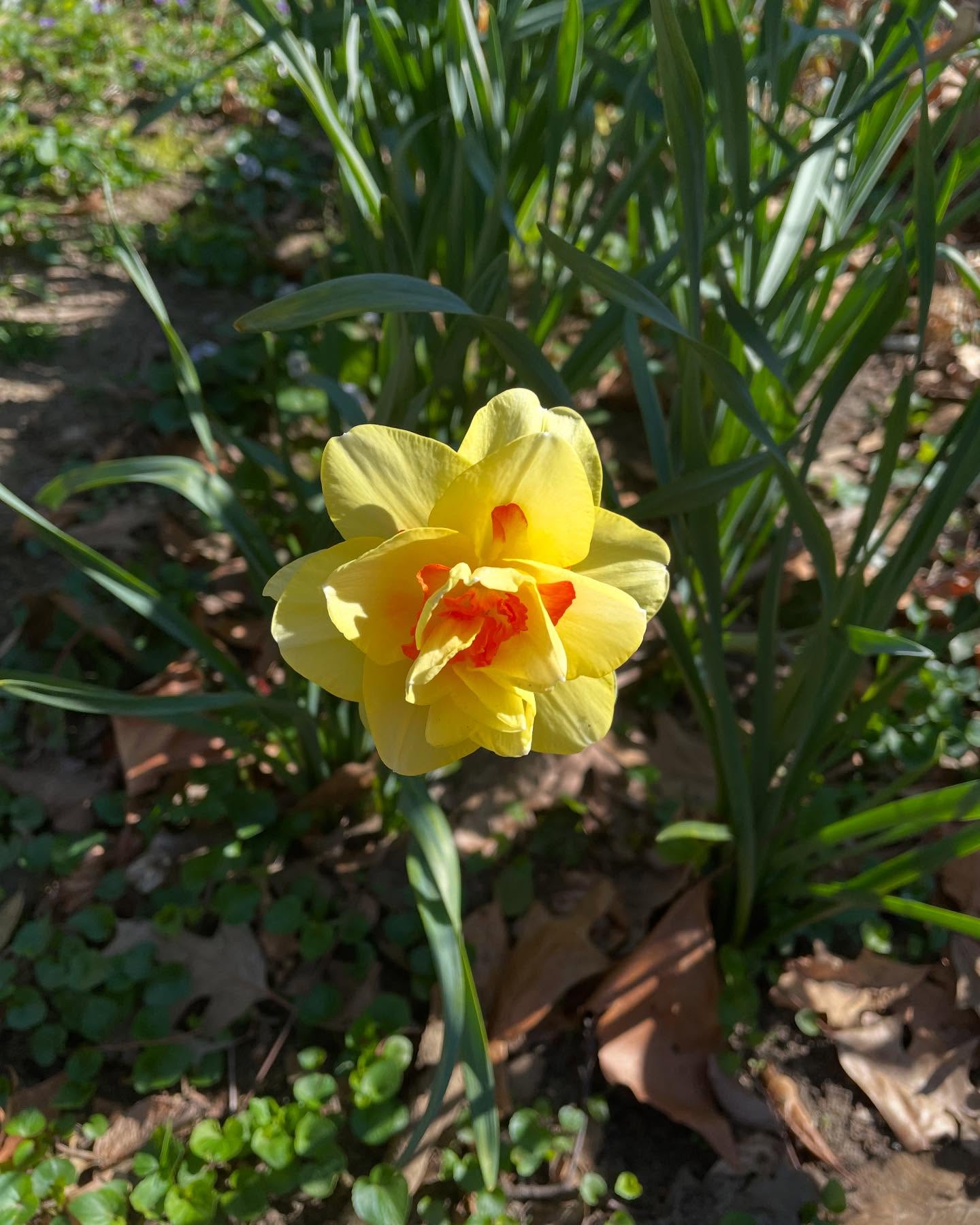 West Annapolis Acupuncture