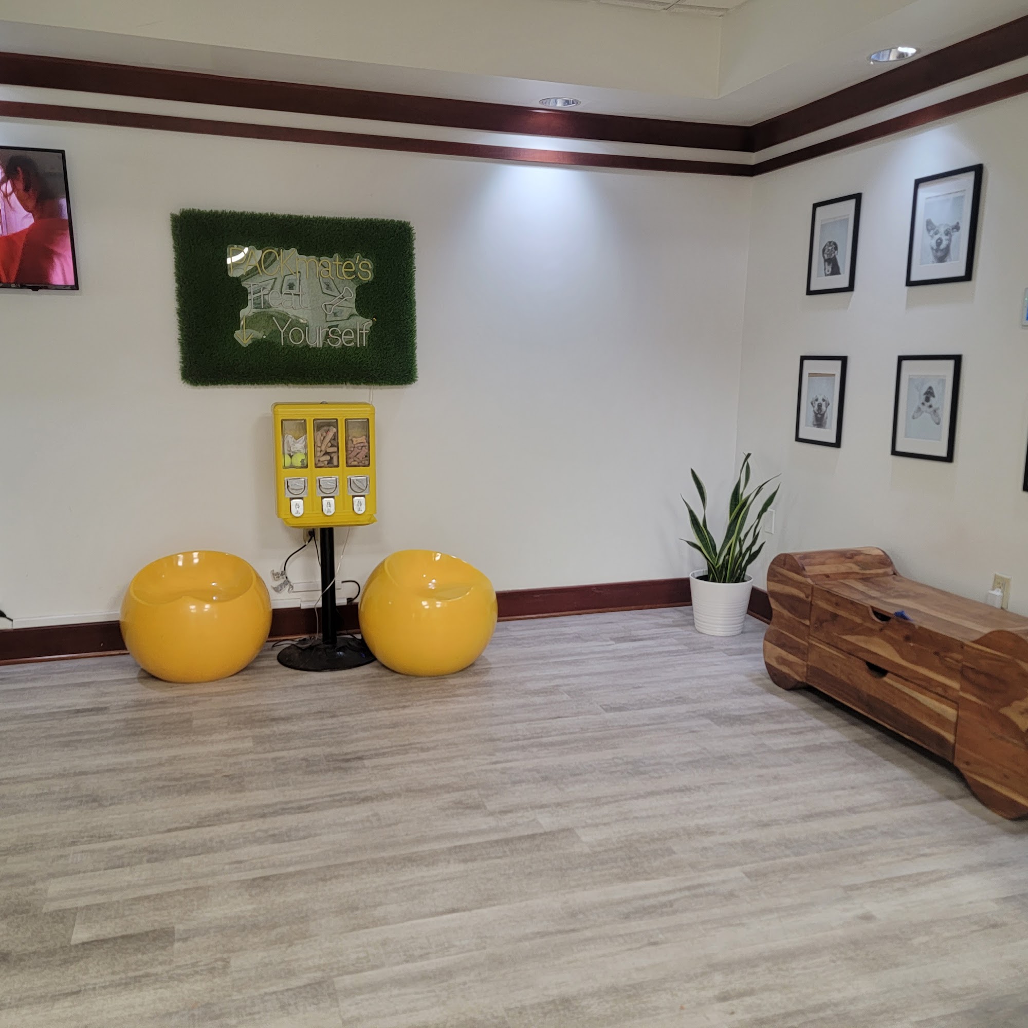 Playful Pack Annapolis