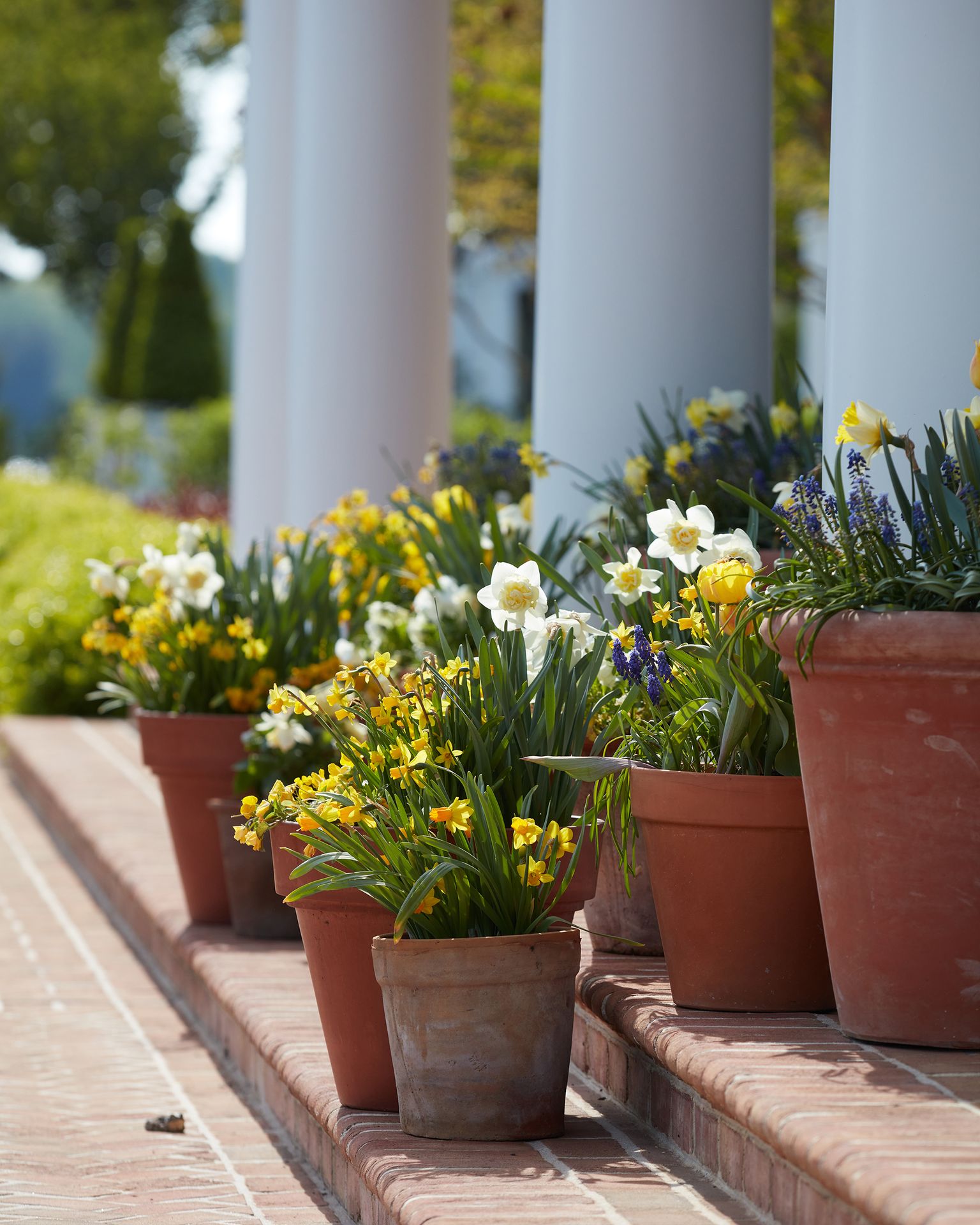 Campion Hruby Landscape Architects