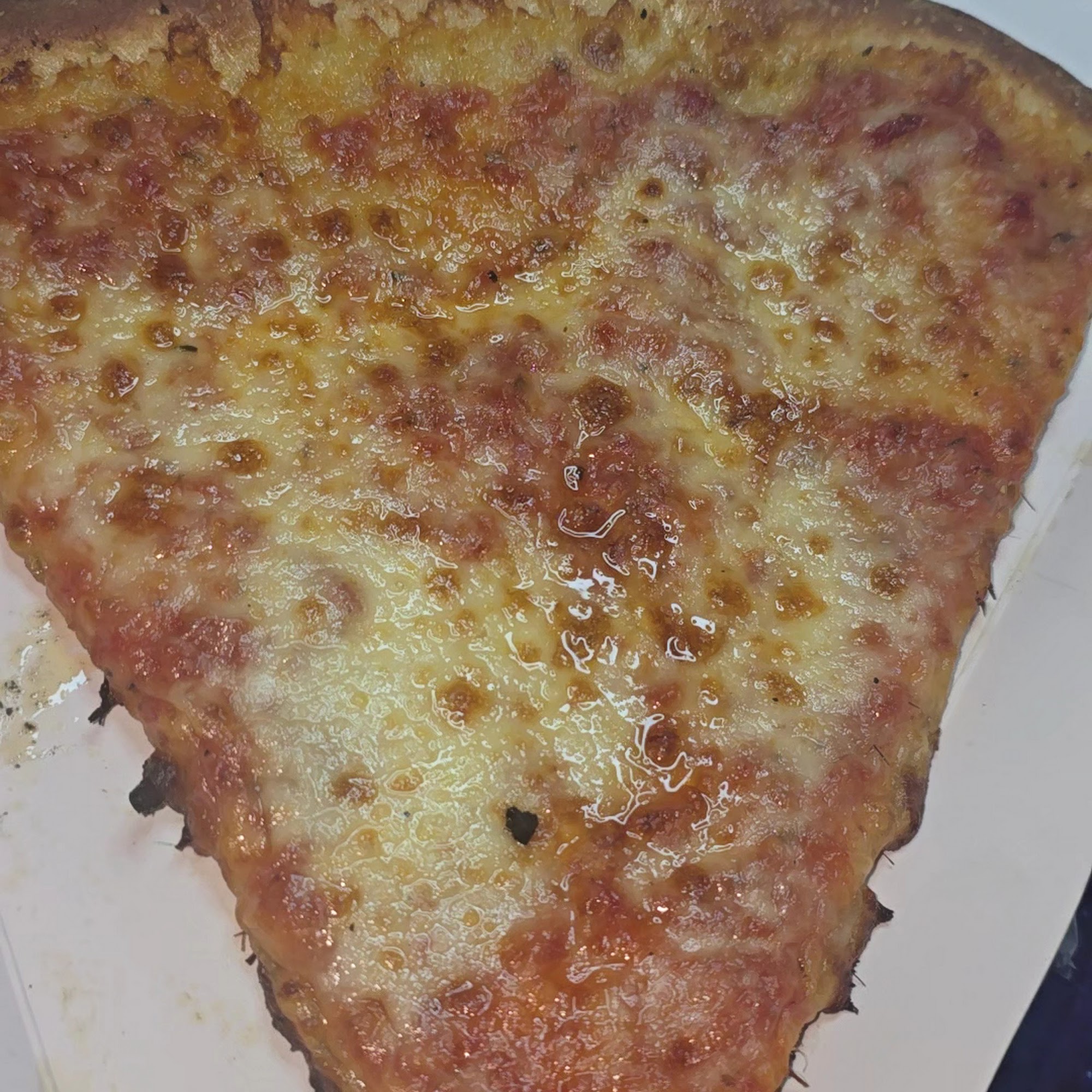 The Right Slice Annapolis