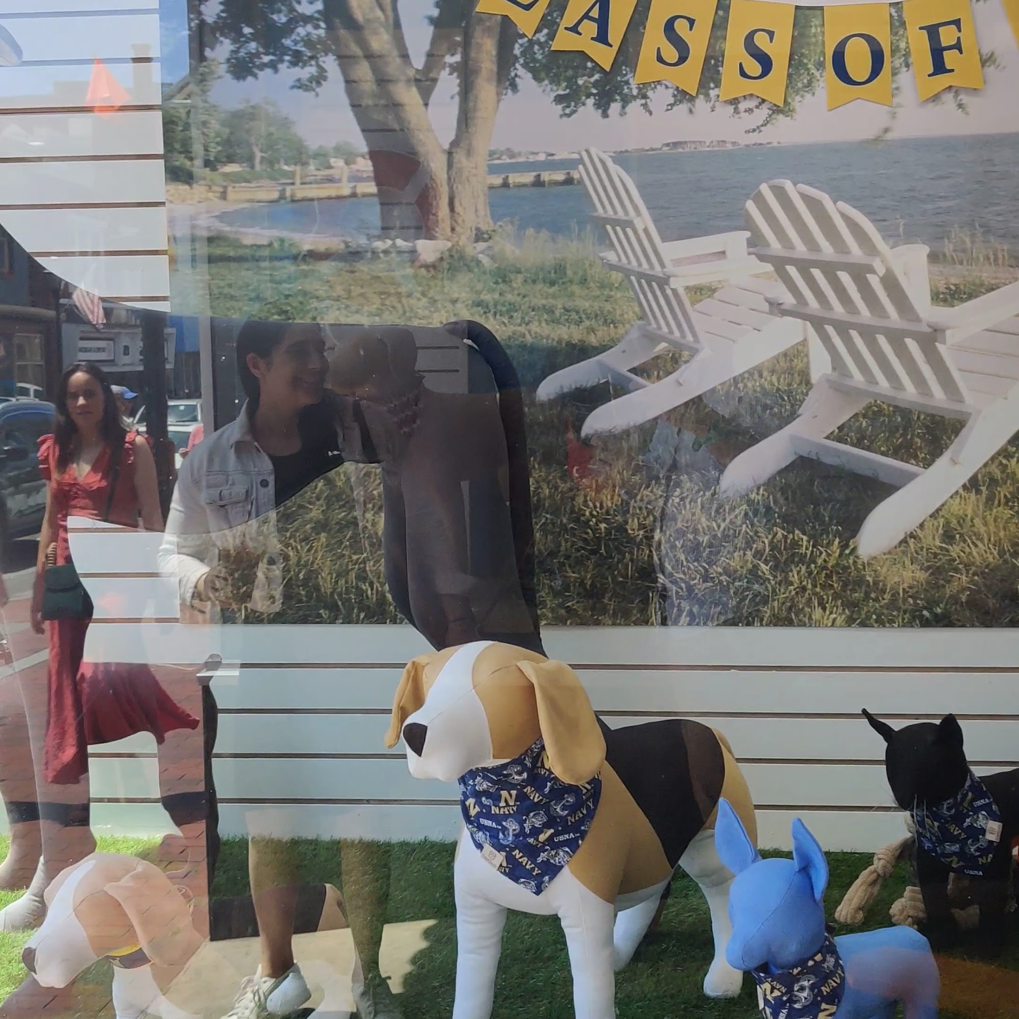 Sea Dog Pet Boutique Annapolis