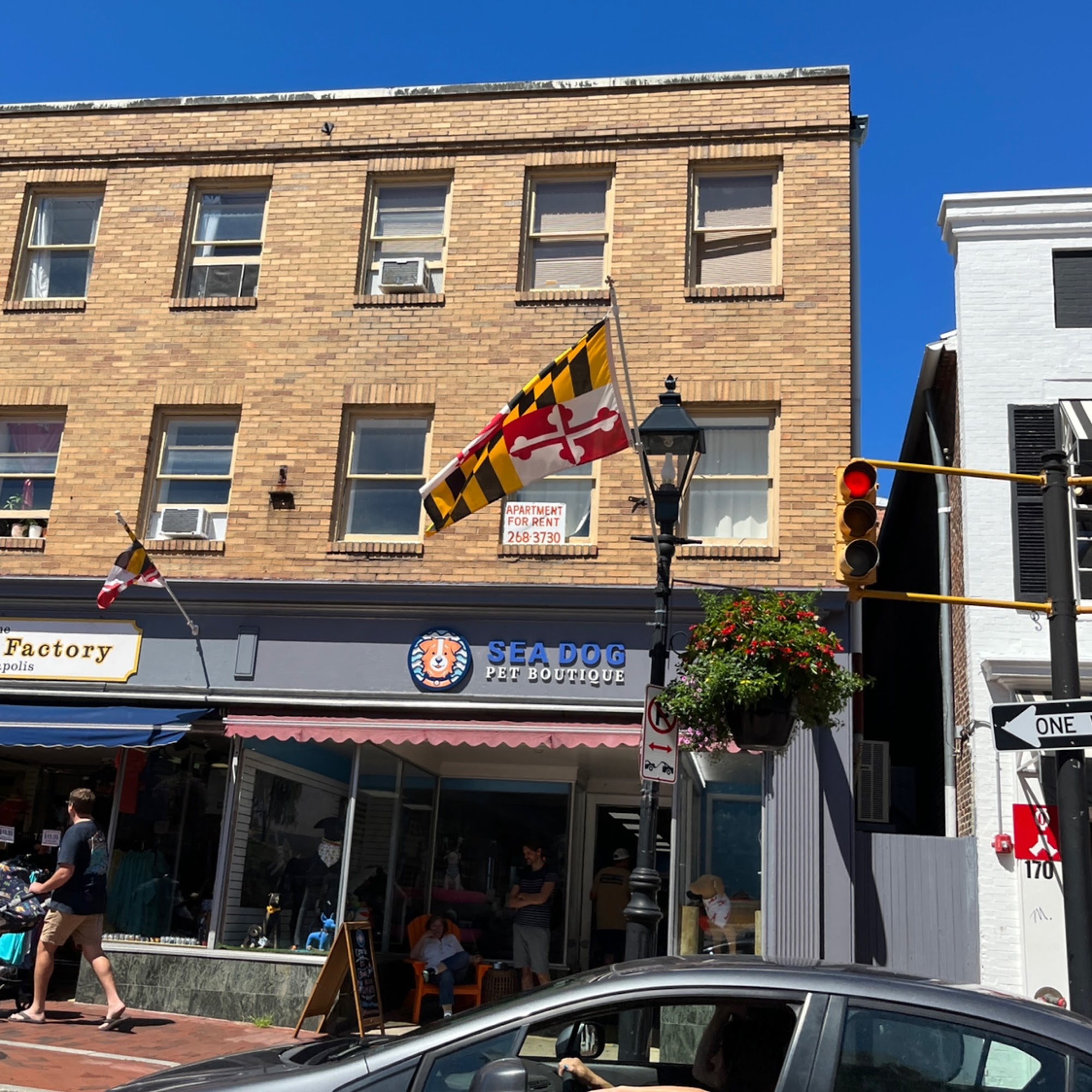 Sea Dog Pet Boutique Annapolis