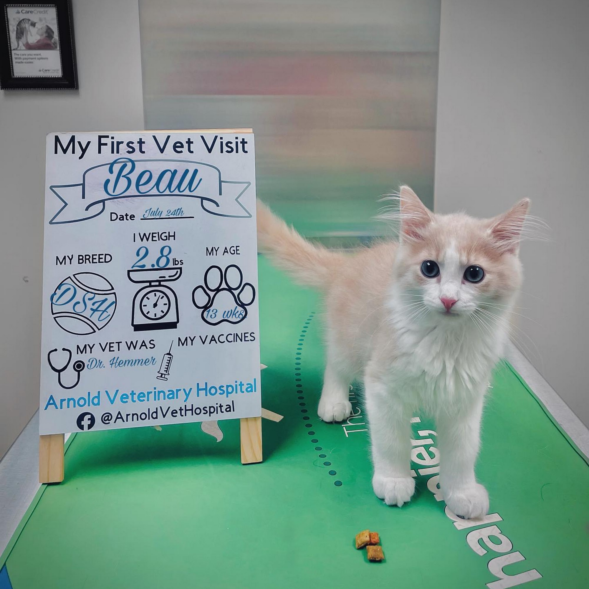 Arnold Veterinary Hospital Arnold