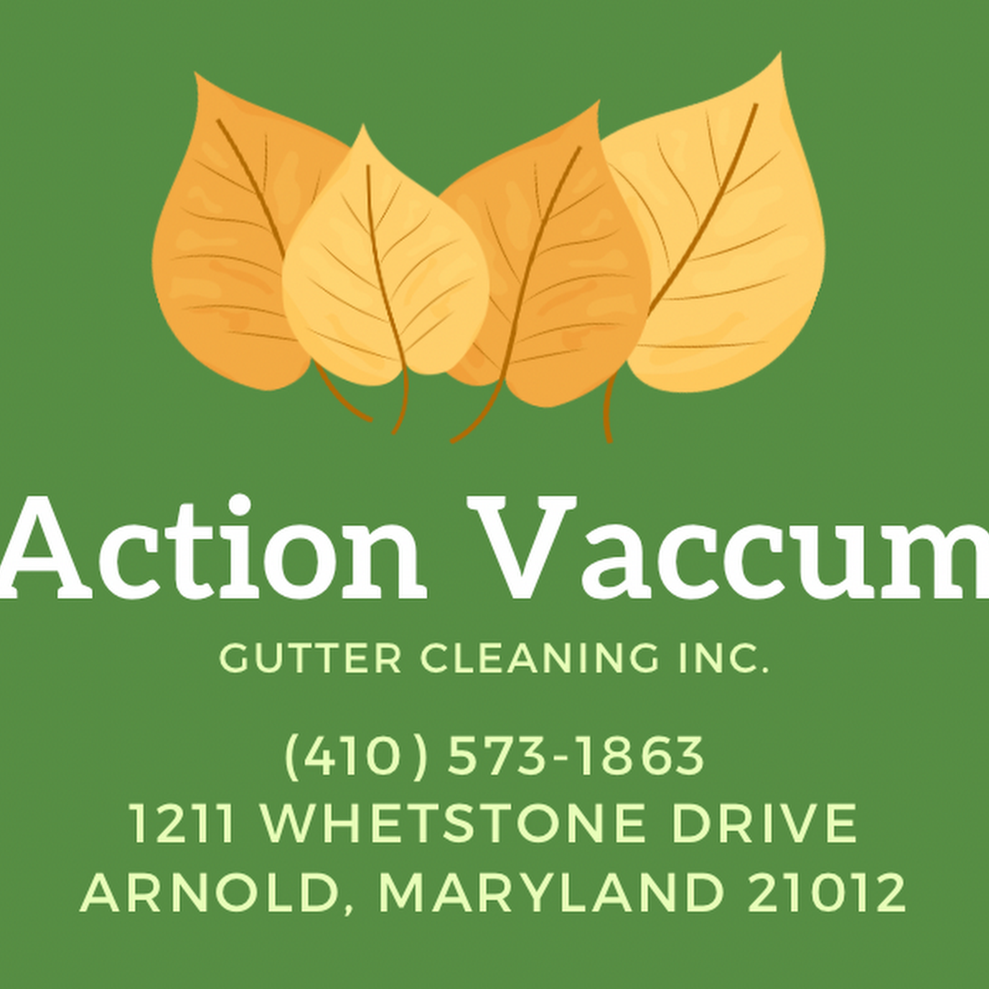 Action Vacuum Gutter Cleaning