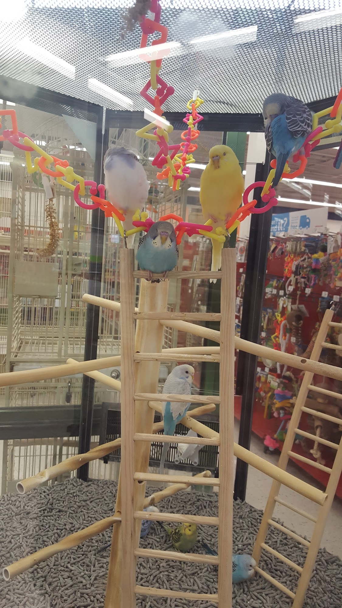 Petco Baltimore