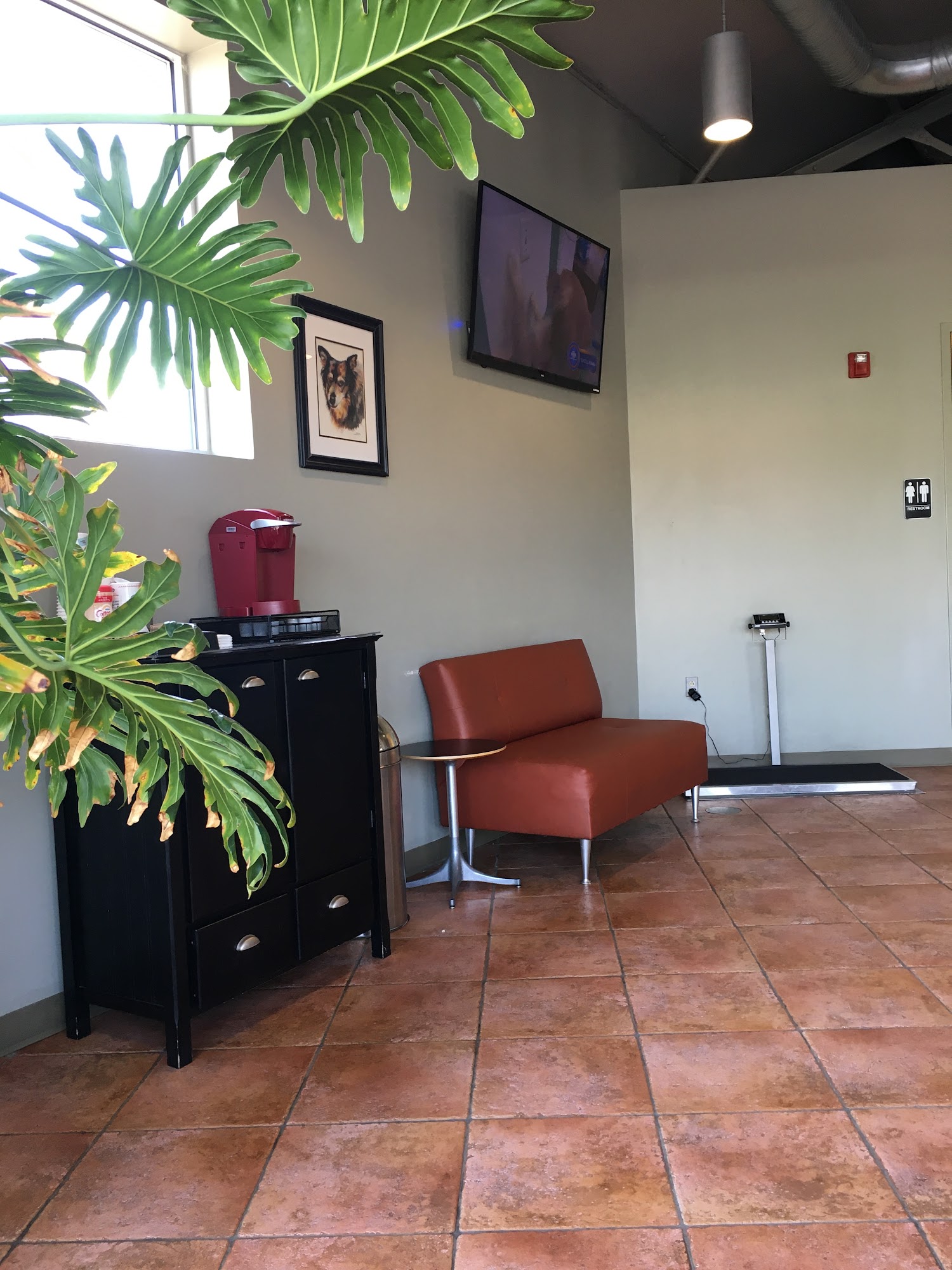 Everhart Veterinary Medicine Baltimore