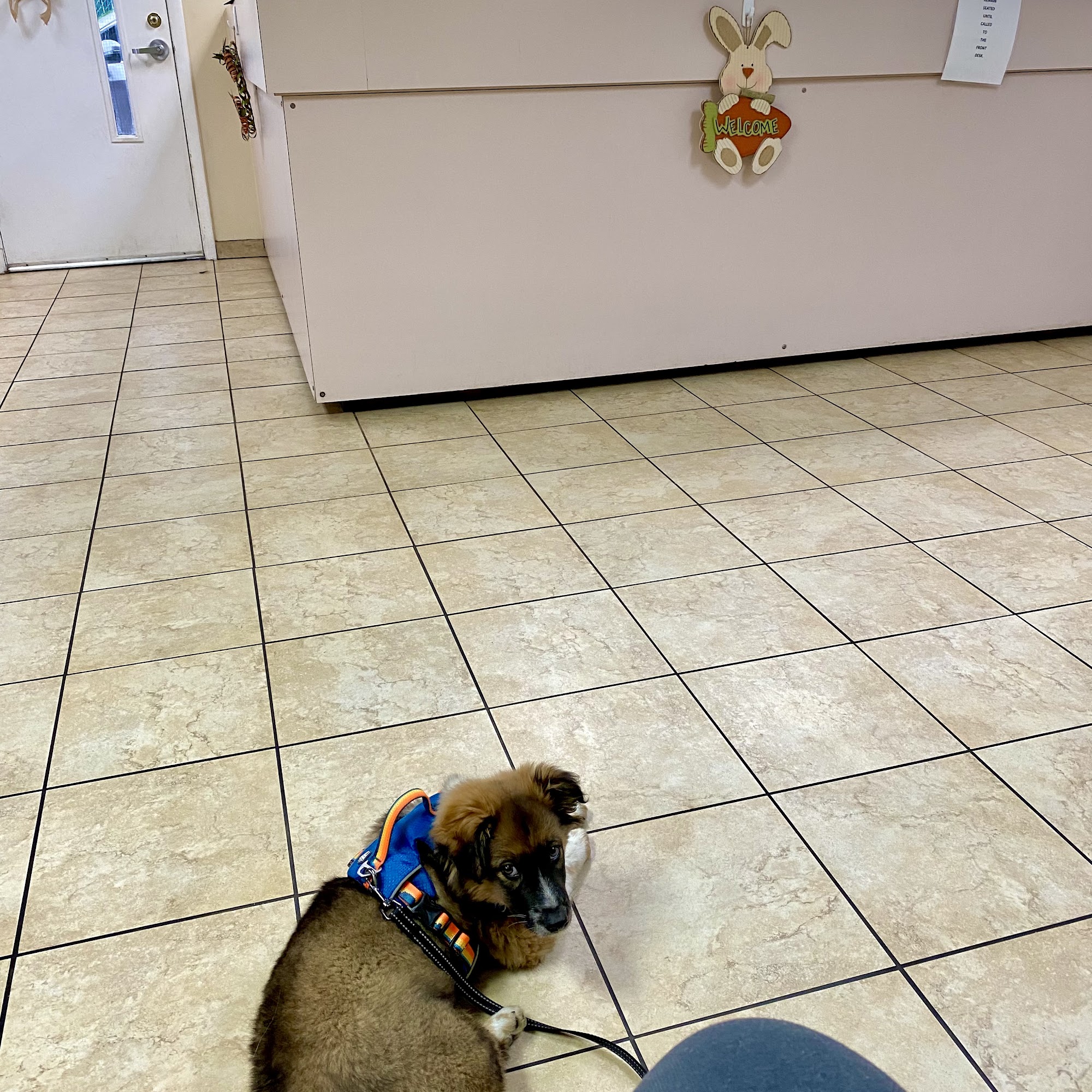 Westview Animal Hospital Baltimore