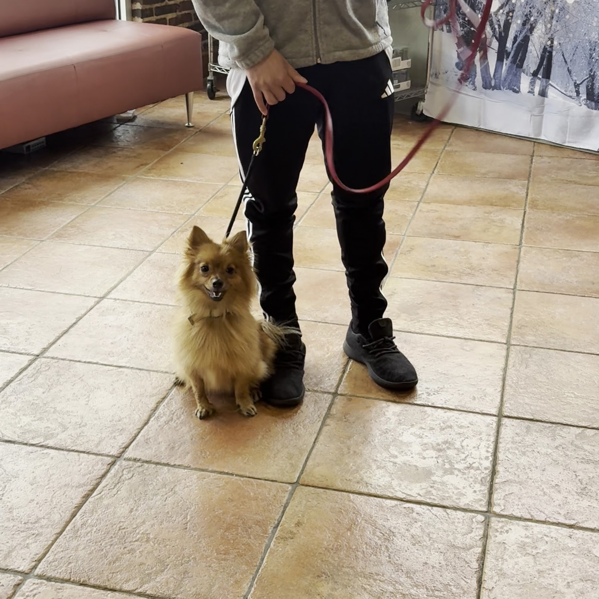 Everhart Veterinary Hospital: Goodman Robert Z DVM Baltimore