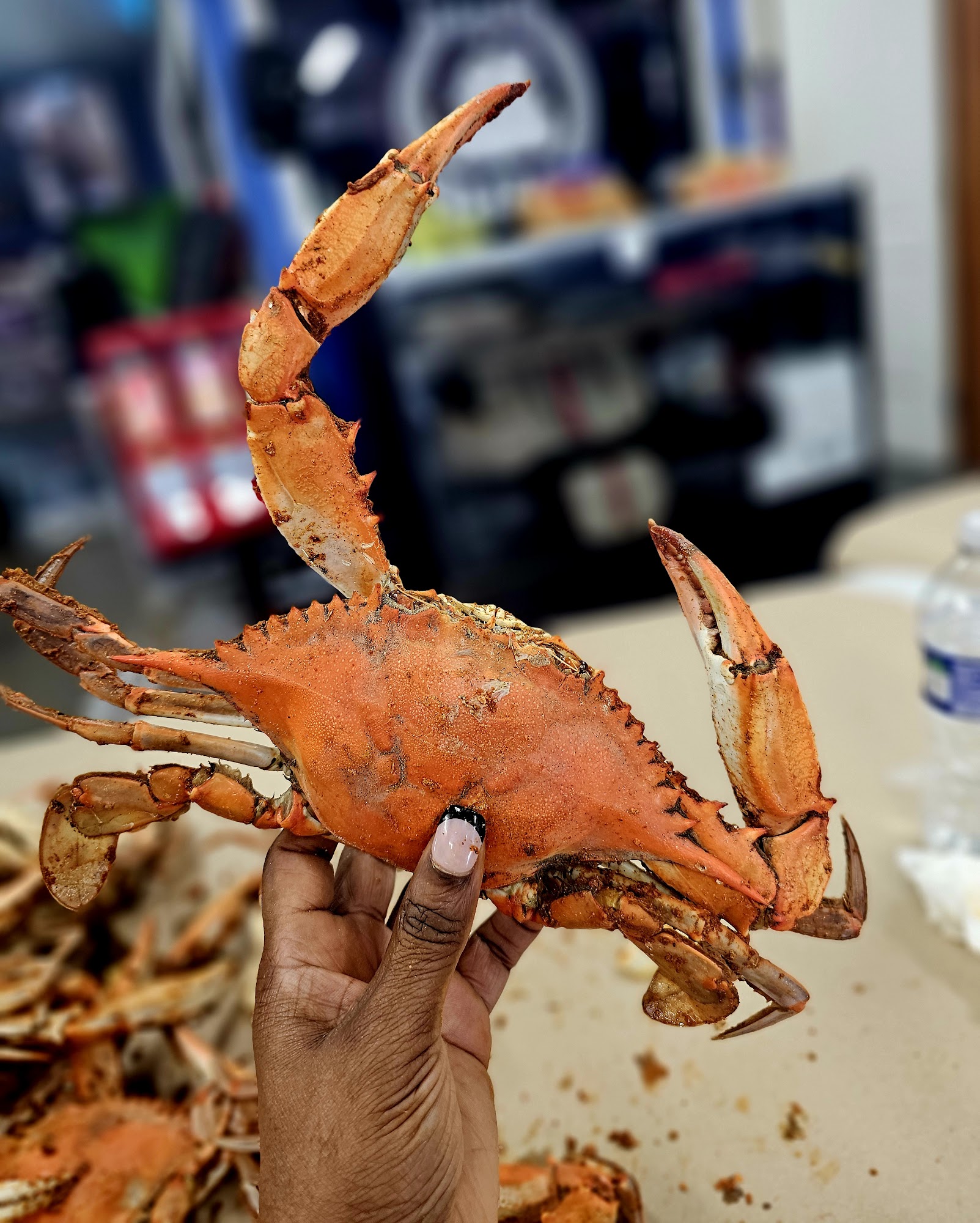 Captain Joe's Crab House Menu