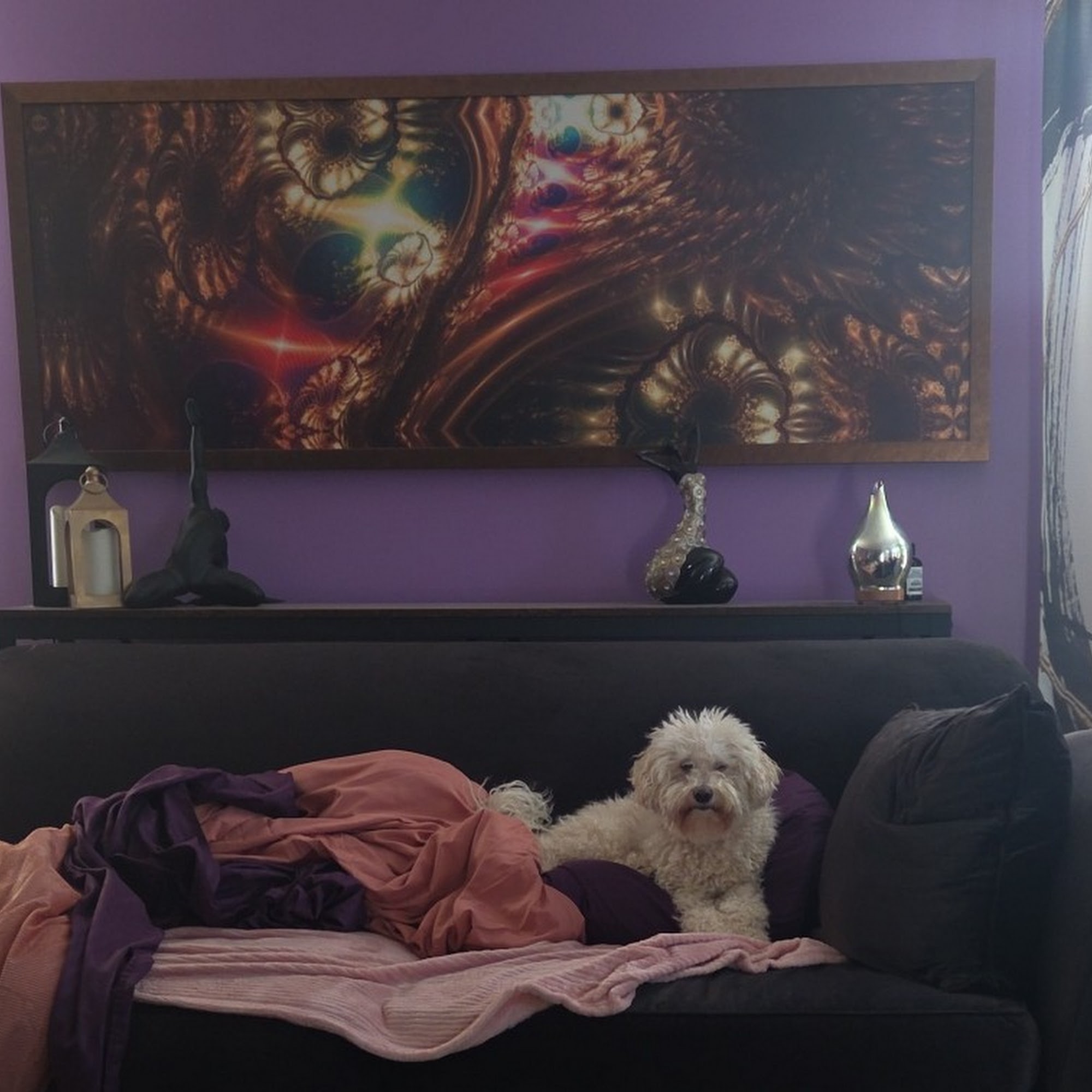 Evergreen Veterinary Care Baltimore