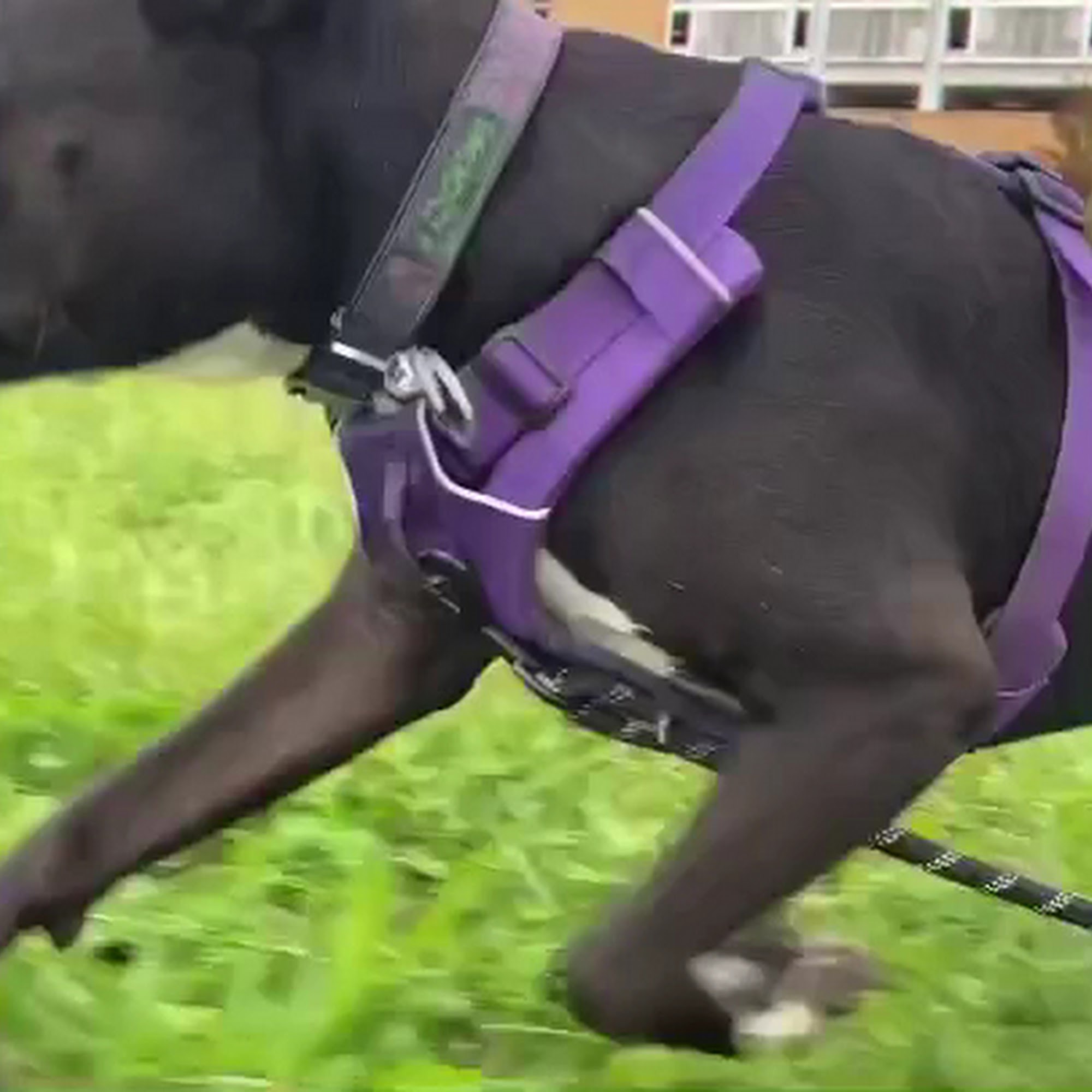 Reys Roof LLC Baltimore