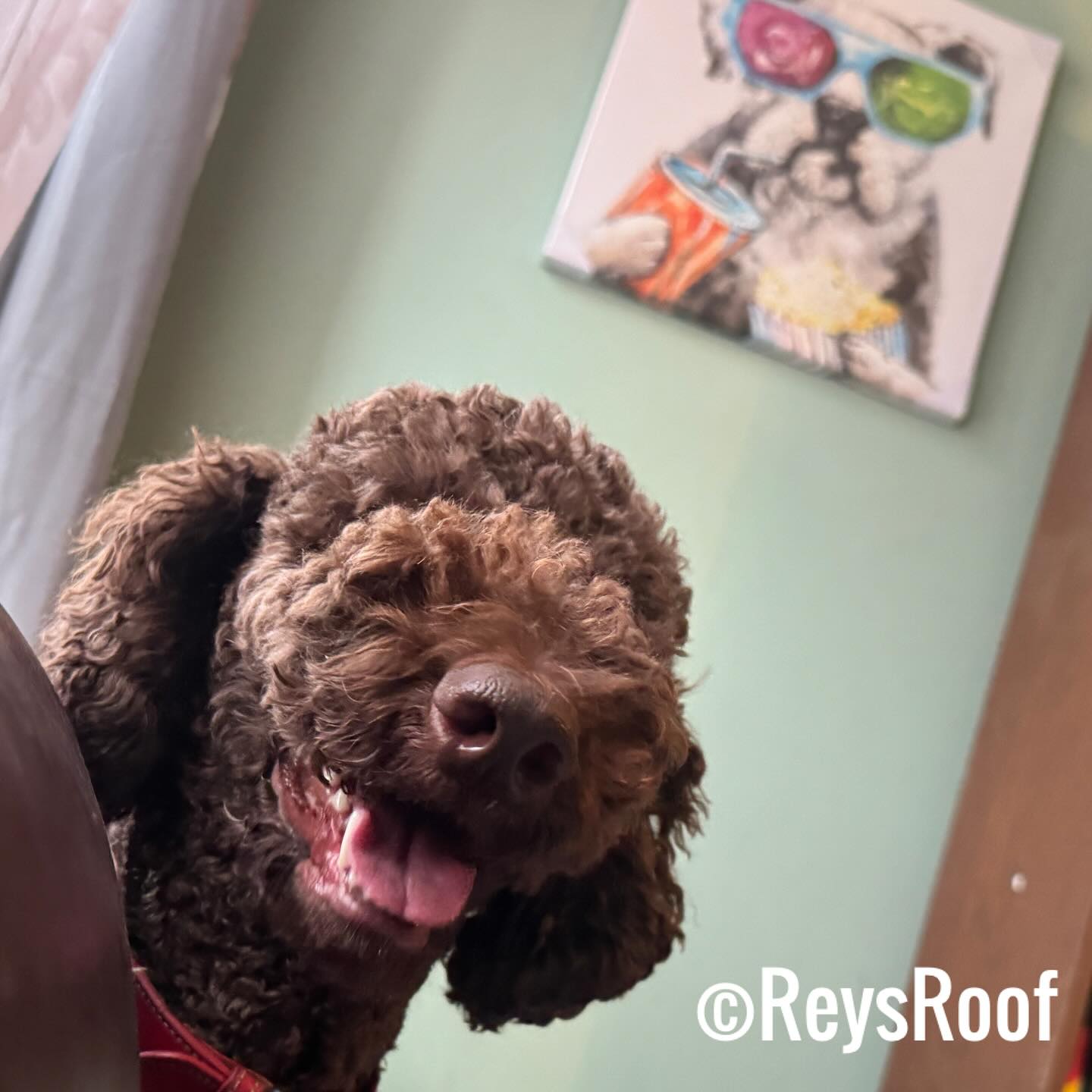 Reys Roof LLC Baltimore