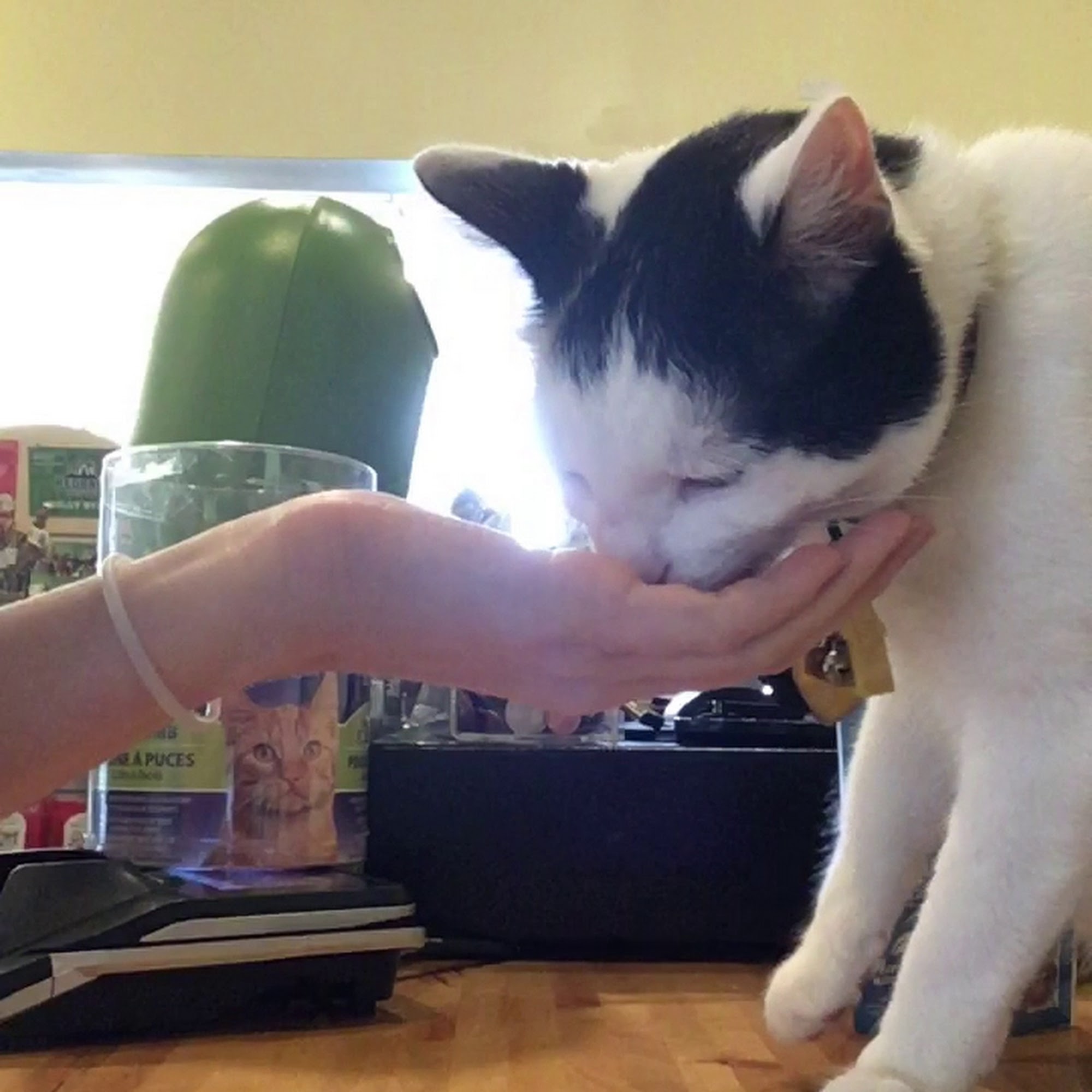 Moorhouse Training Baltimore