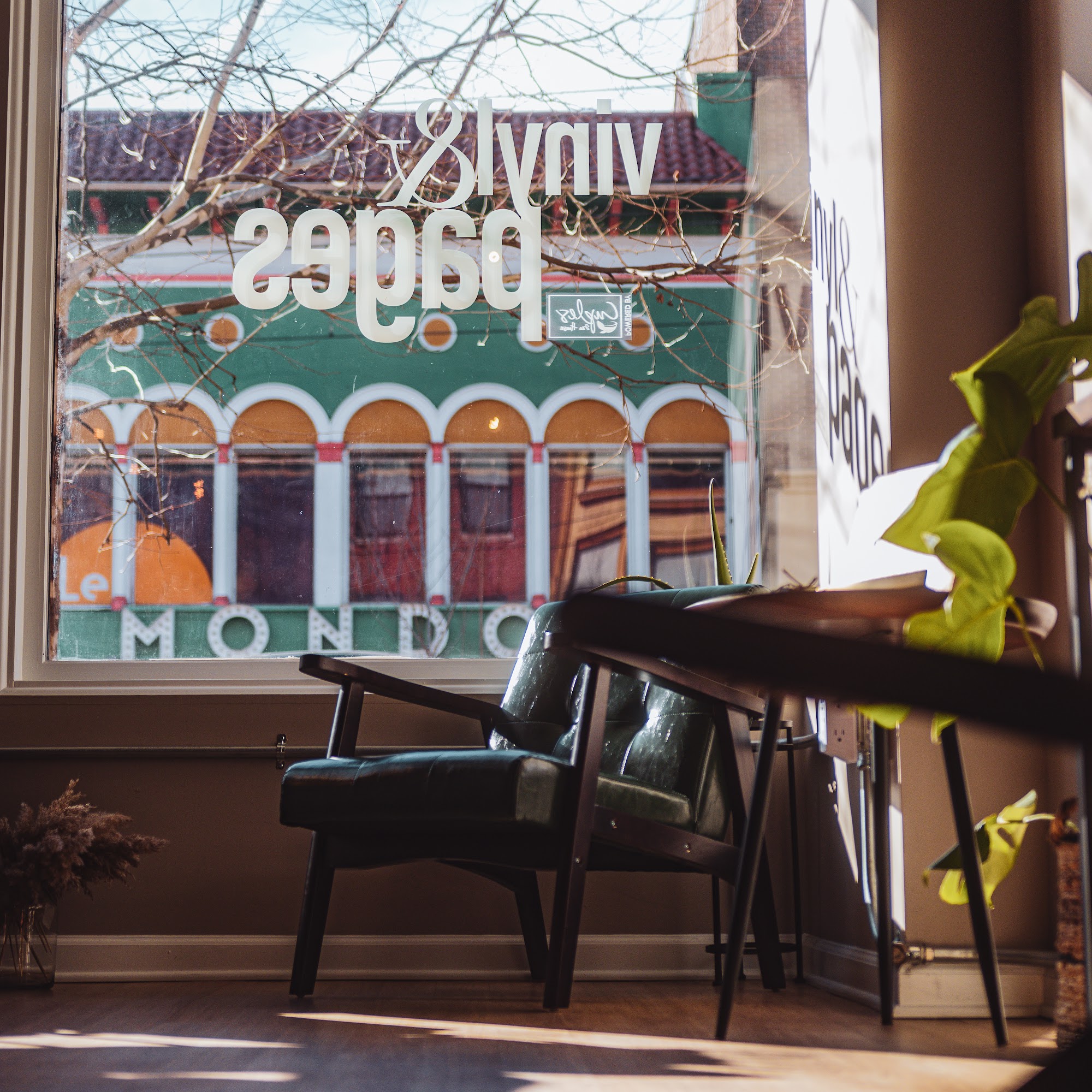 Vinyl and Pages Baltimore