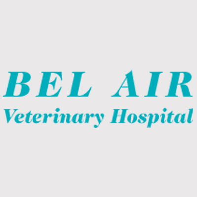 Bel Air Veterinary Hospital Bel Air