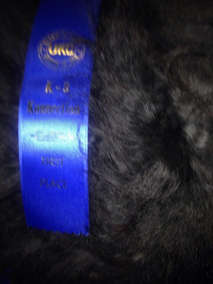 Canine Training Association Inc Beltsville