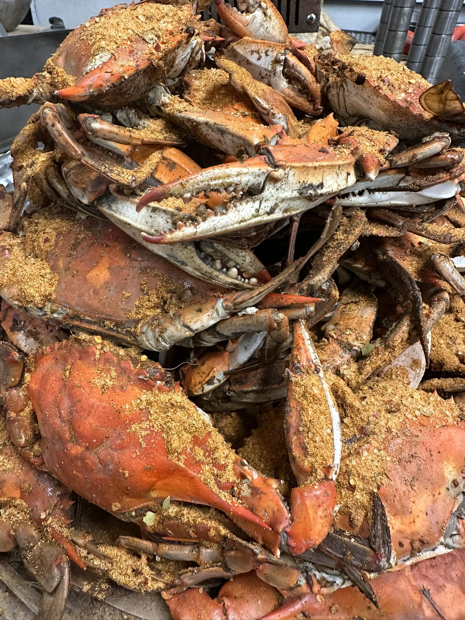 Assateague Crab House Berlin