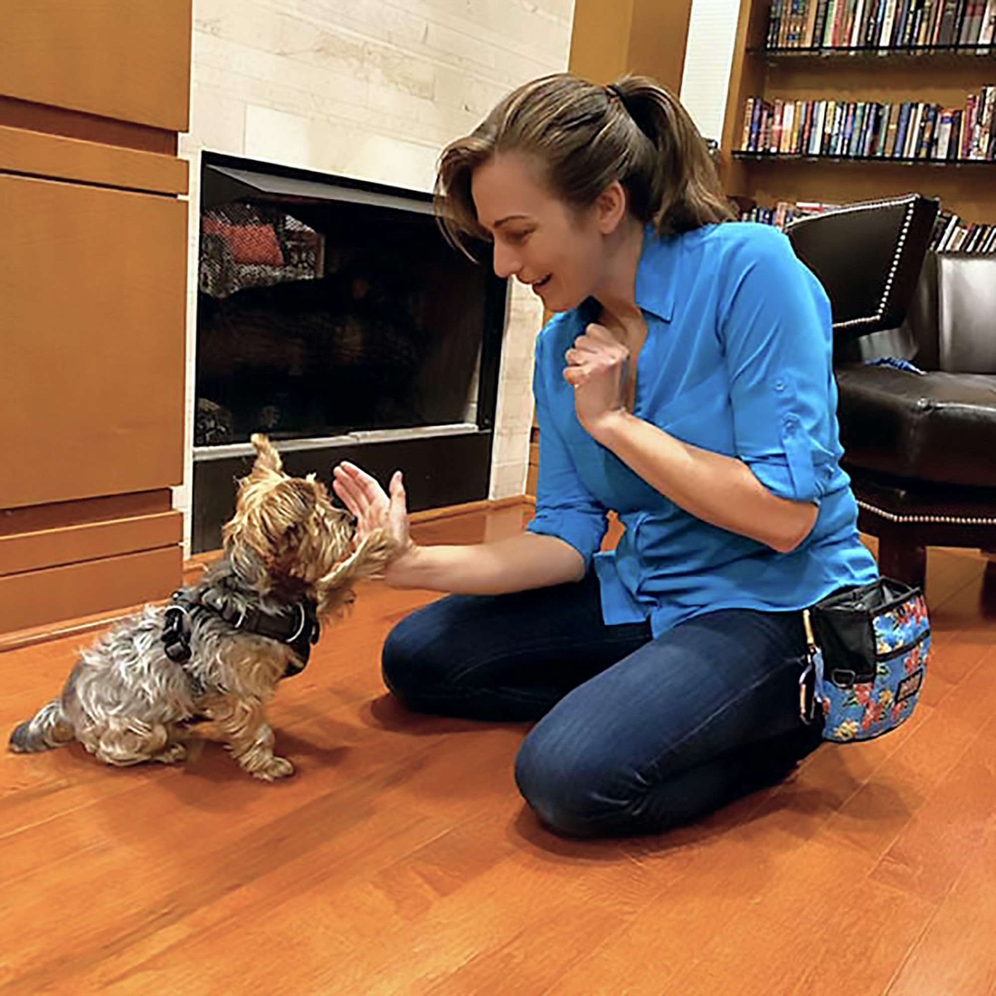 Rollins Family Dog Training Bethesda