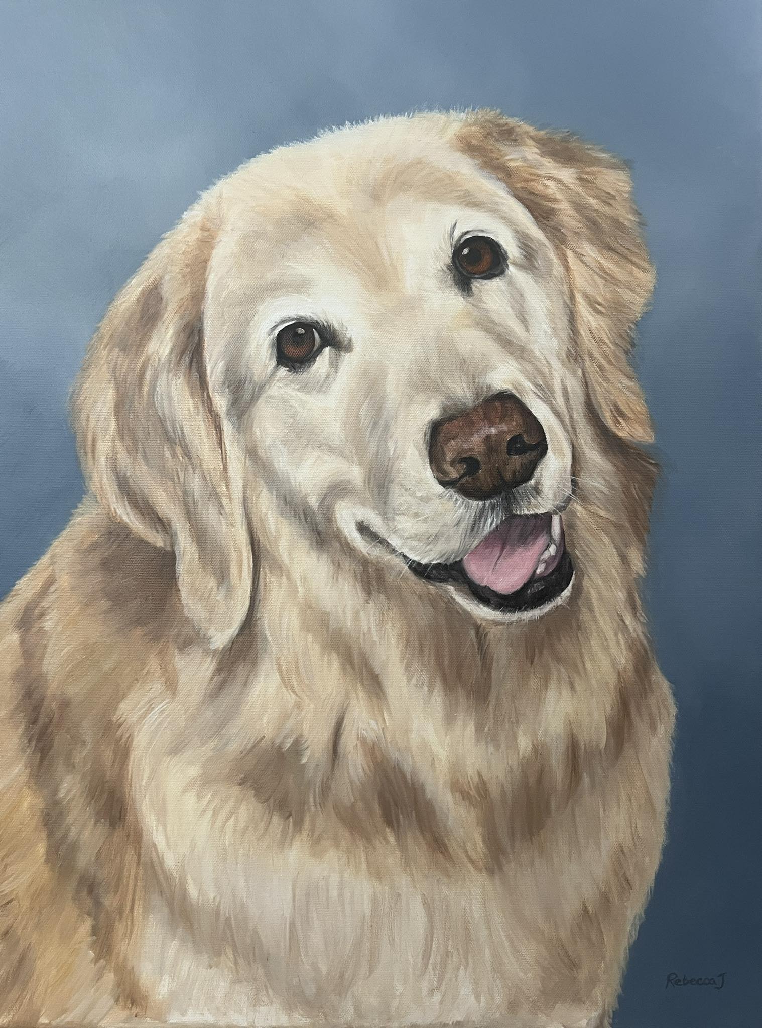 Pet and People Portraits