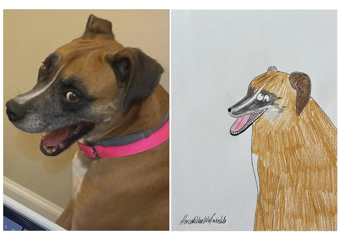 Pet and People Portraits
