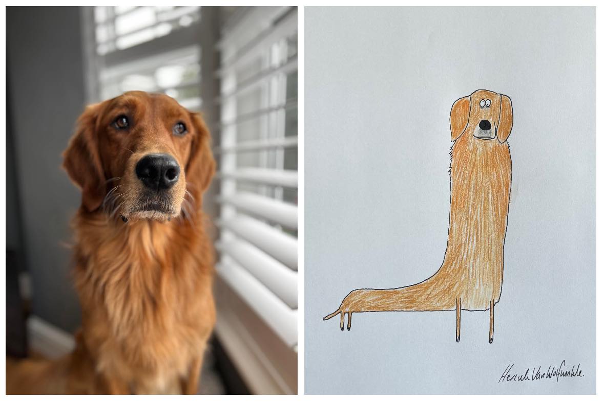 Pet and People Portraits