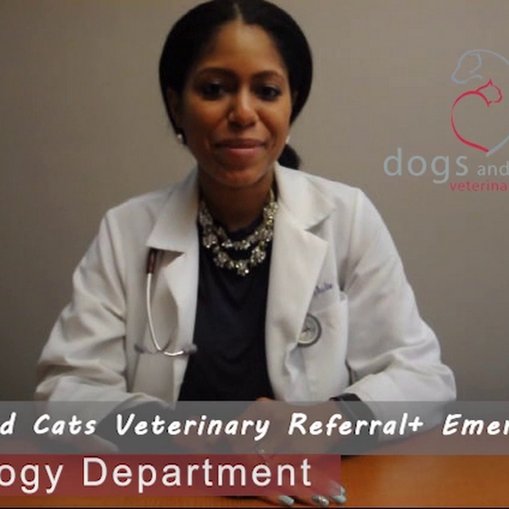 Dogs and Cats Emergency & Specialty Bowie