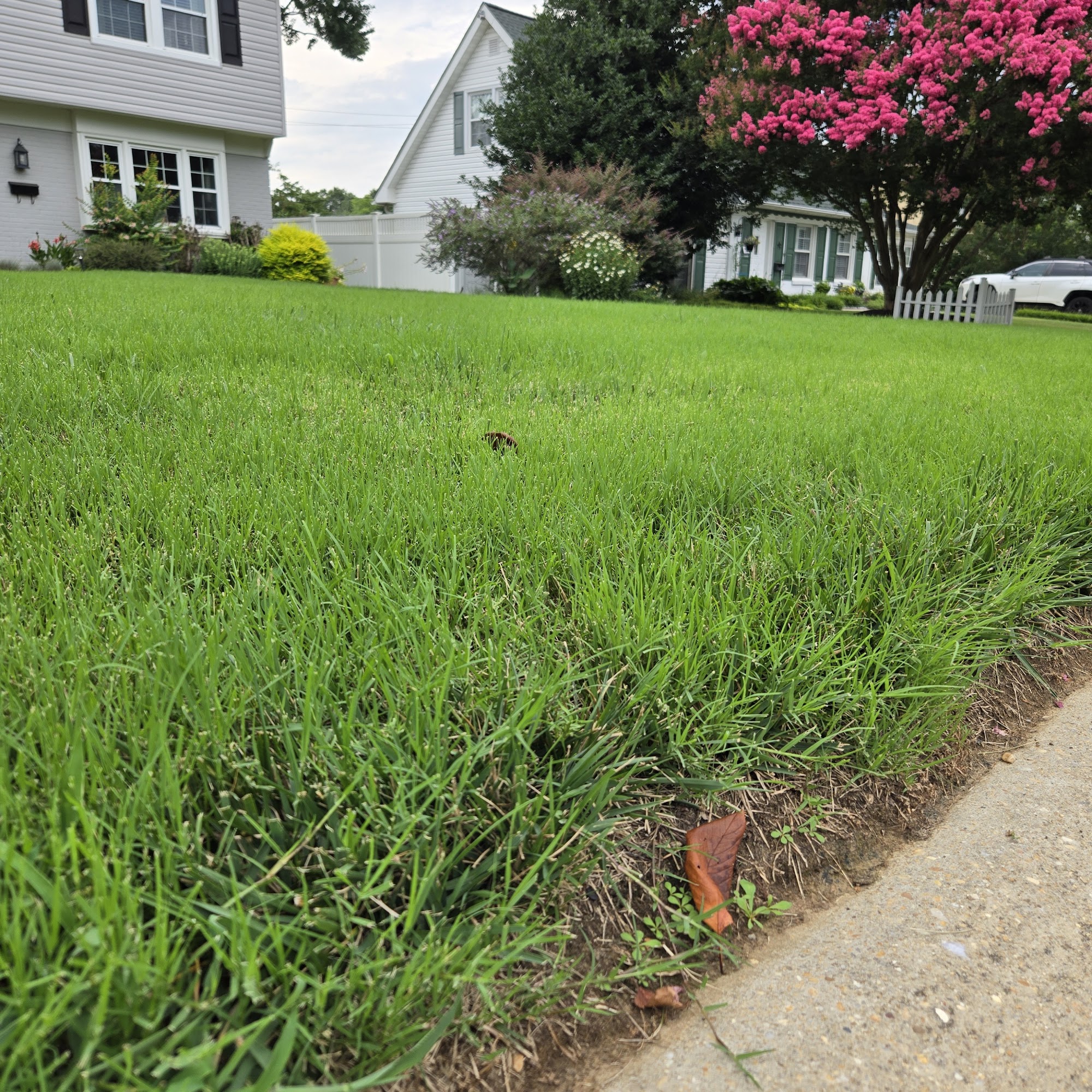 Houston's Lawn Services