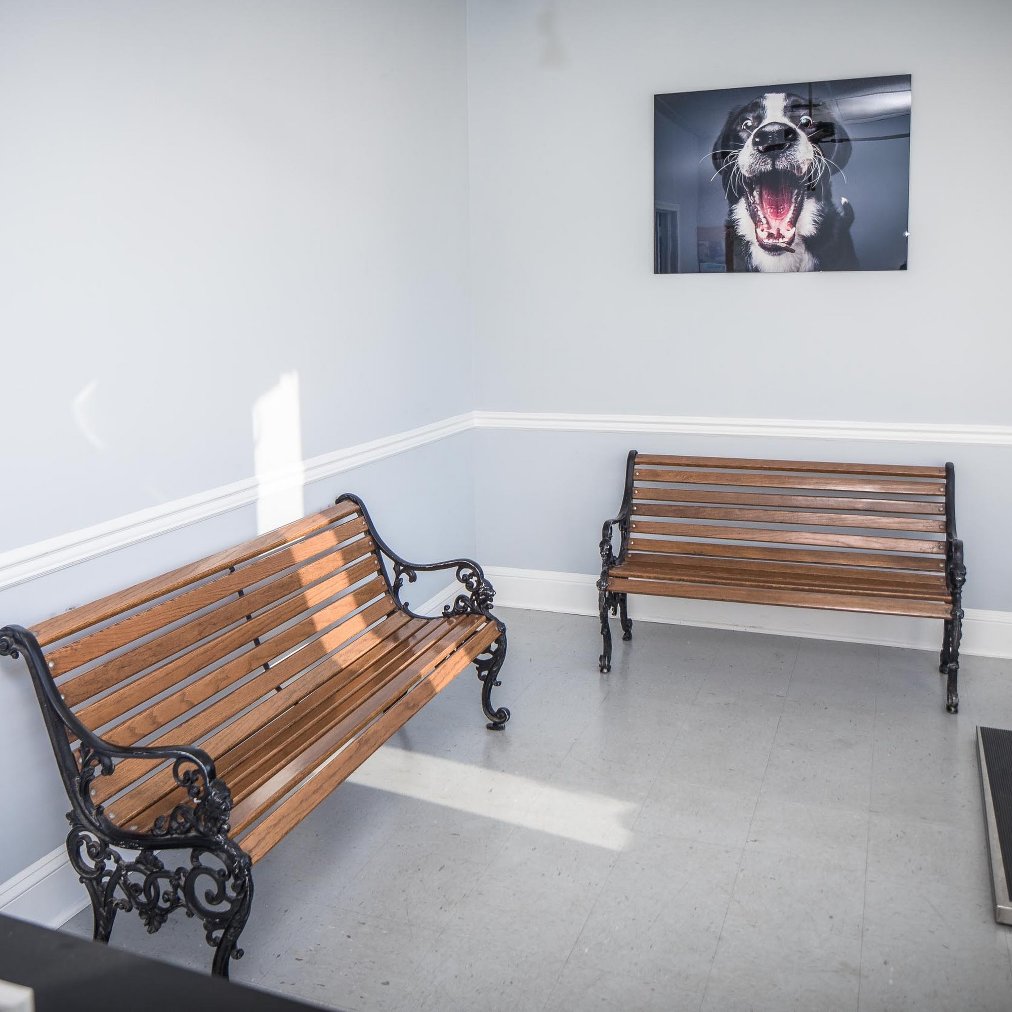 Brunswick Veterinary Office Brunswick