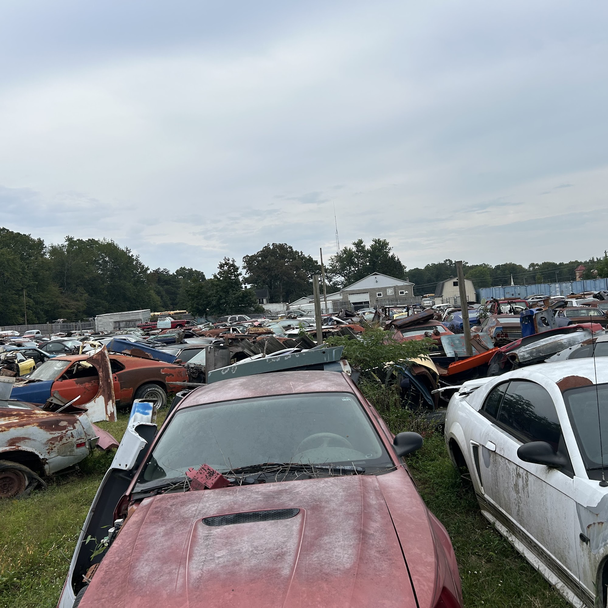 Mike's Mustang Shop Bryans Road