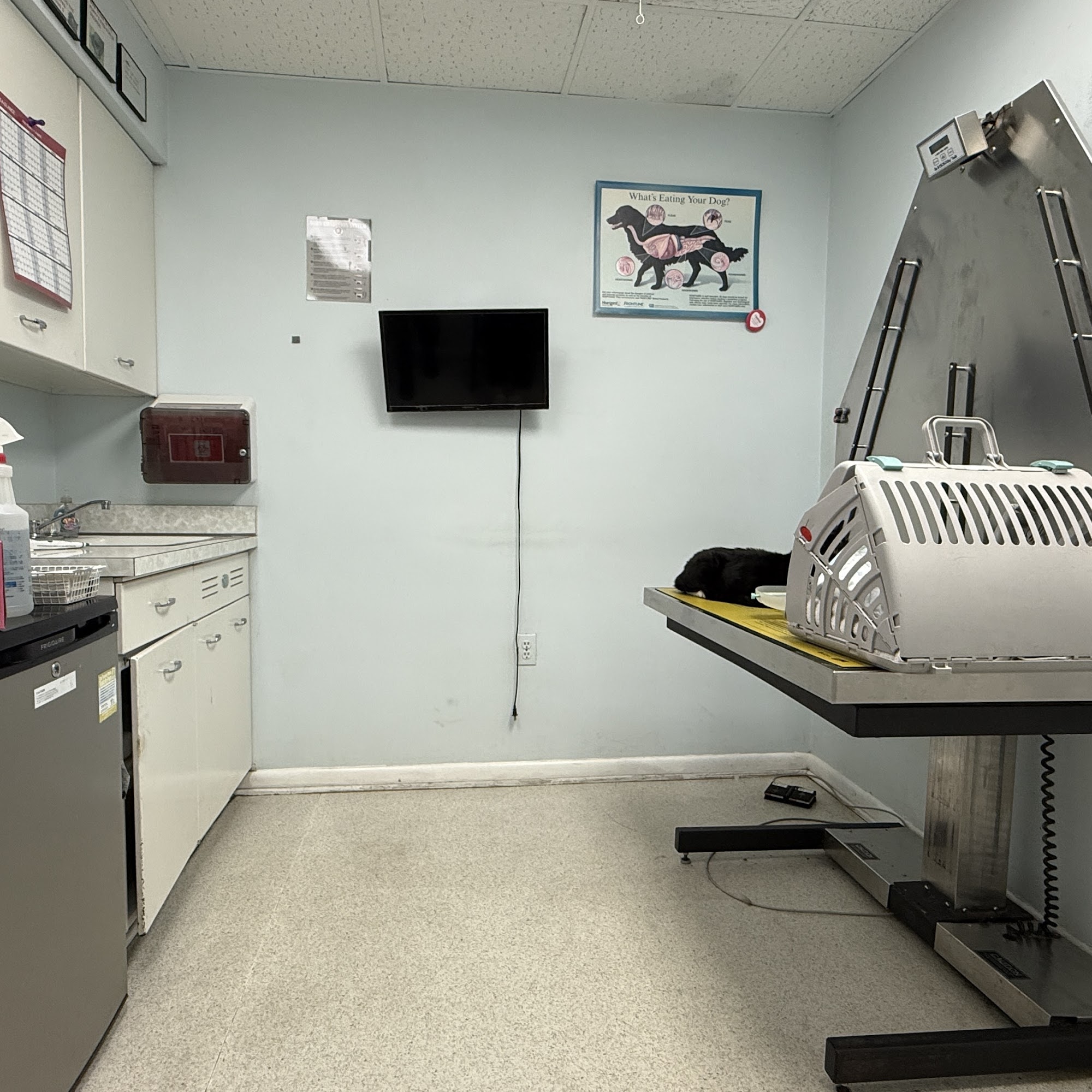 Animal Medical Center of Burtonsville Burtonsville