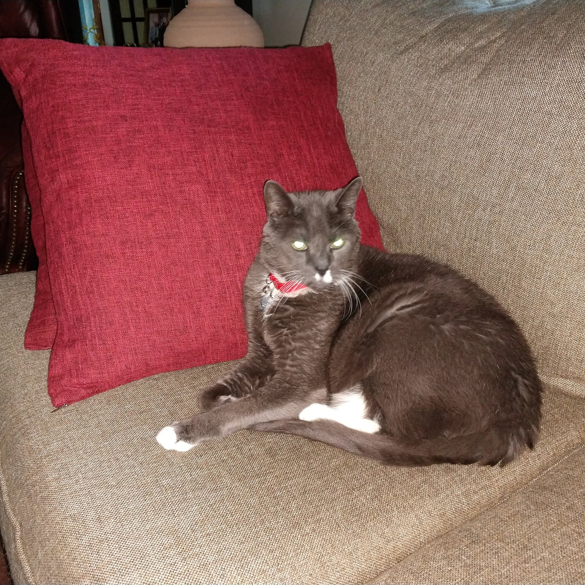 Bayside Animal Hospital Cambridge