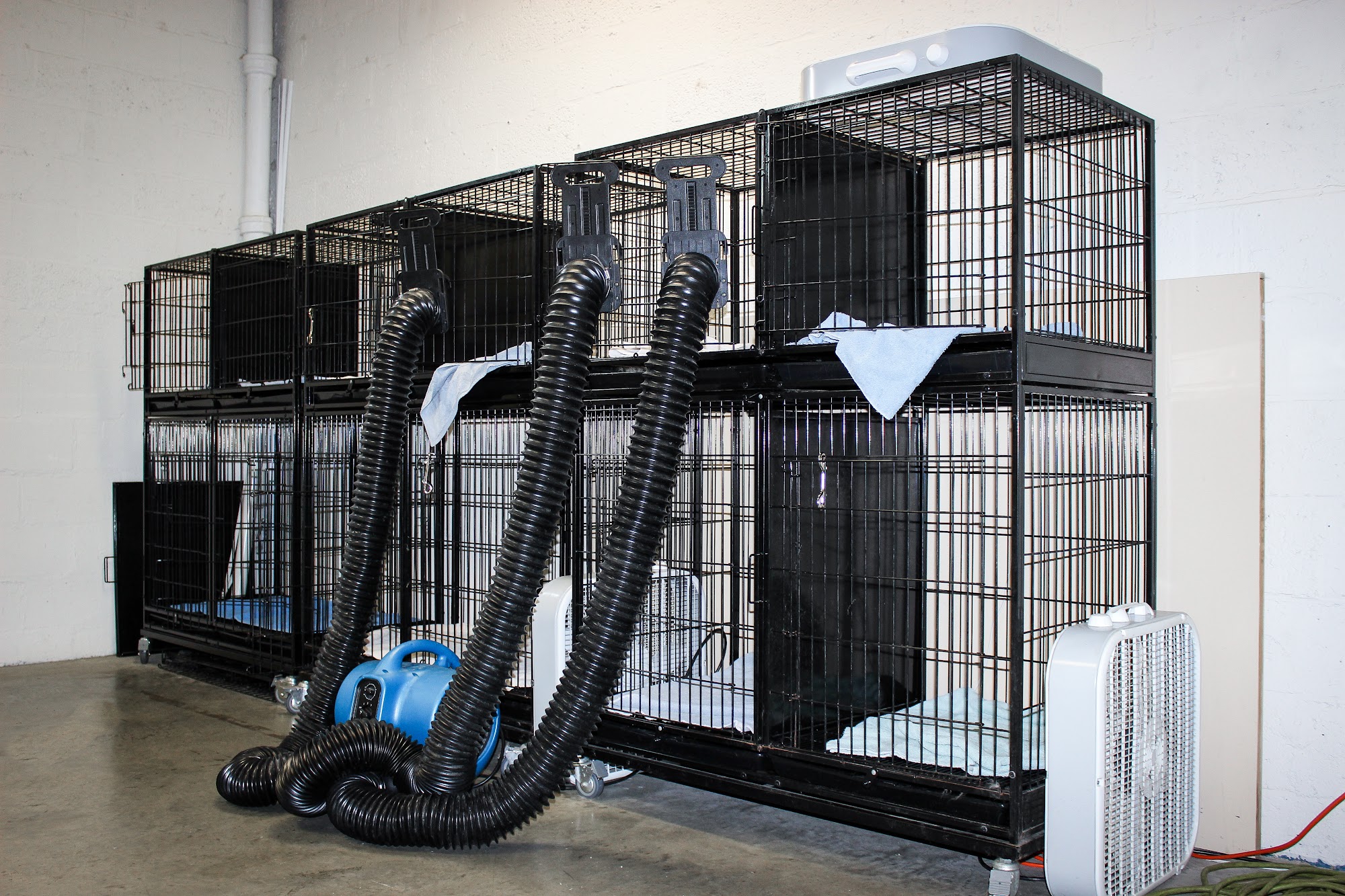 Catonsville Dog Co Catonsville