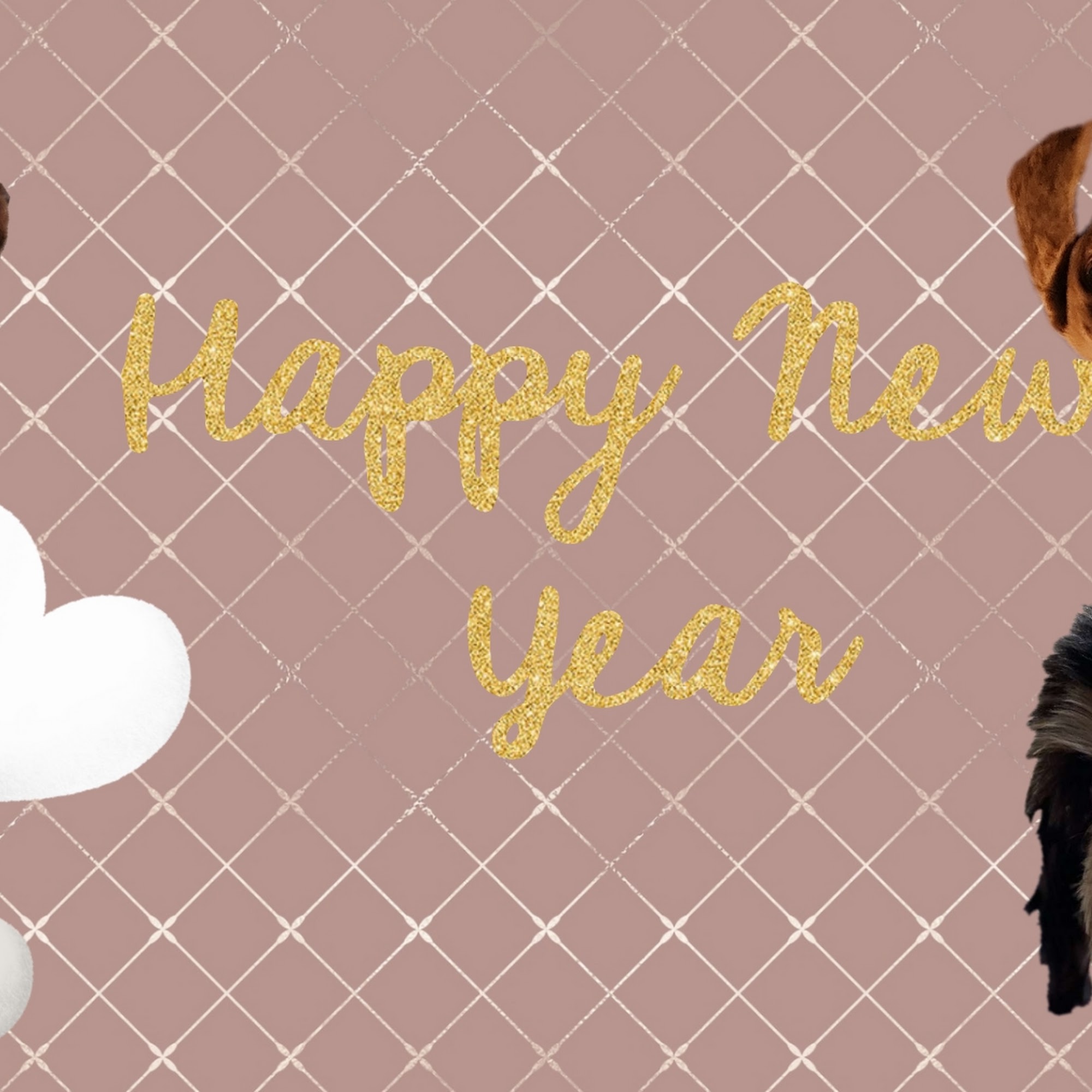 Hopeland Pet Lodge Centreville