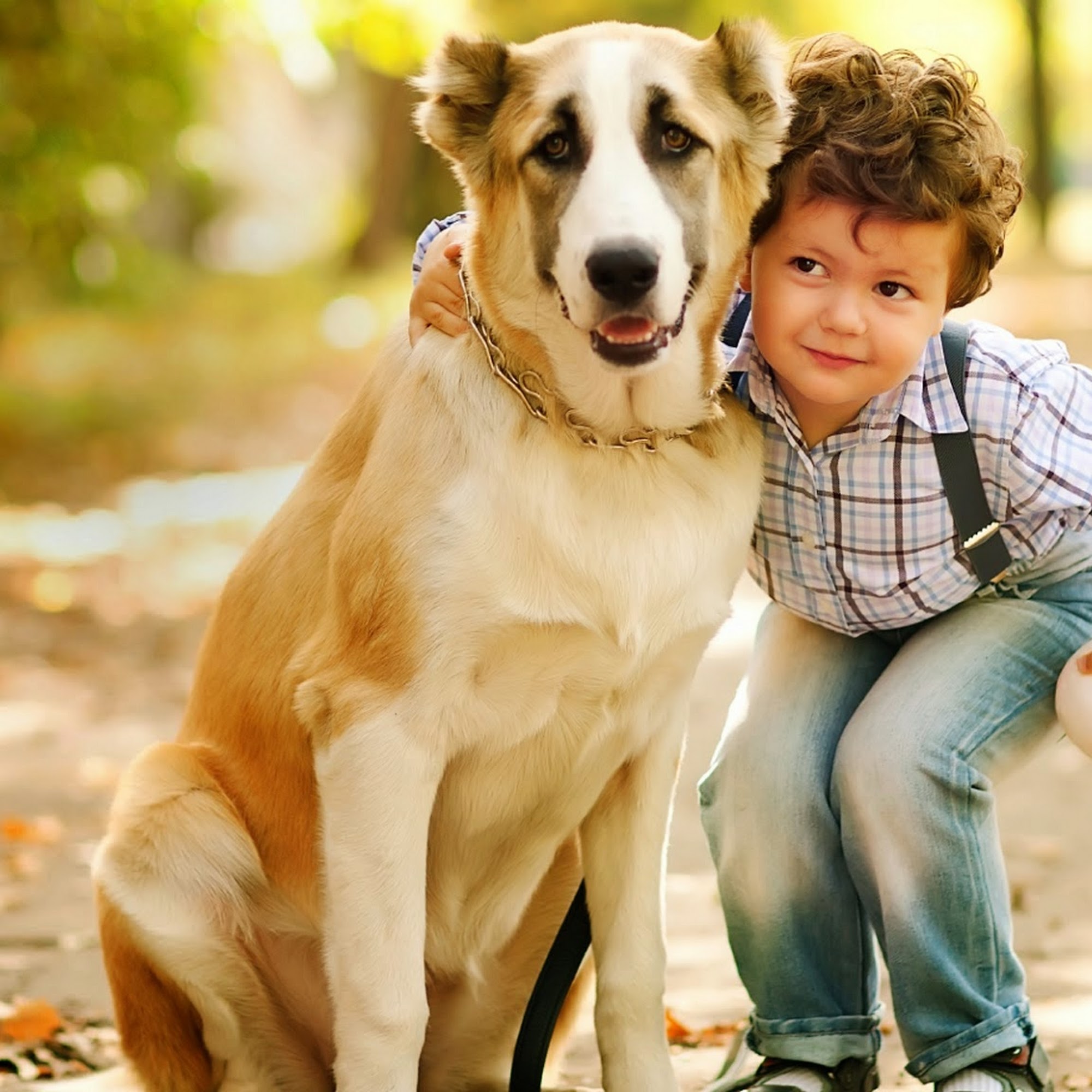 Bay Area Veterinary Hospital Chester