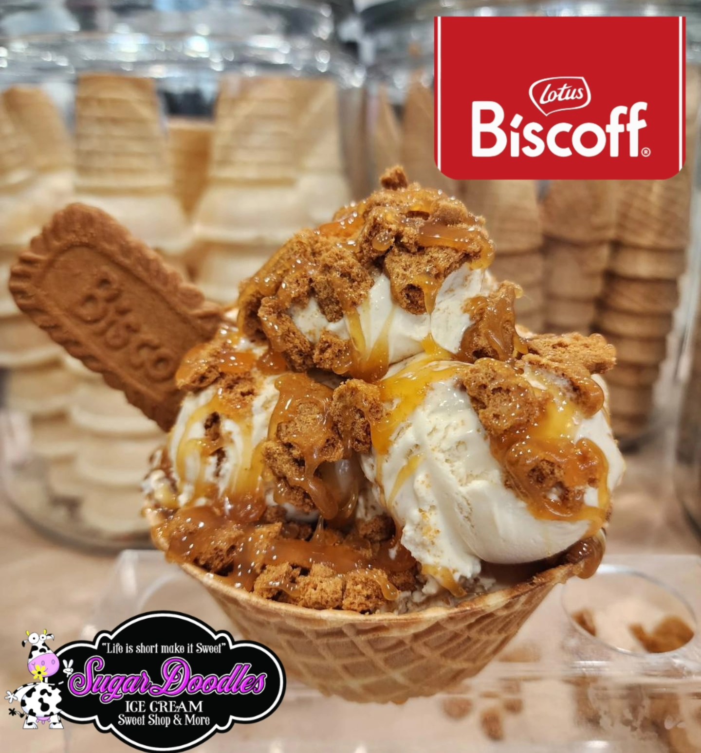 Sugar Doodles Chester