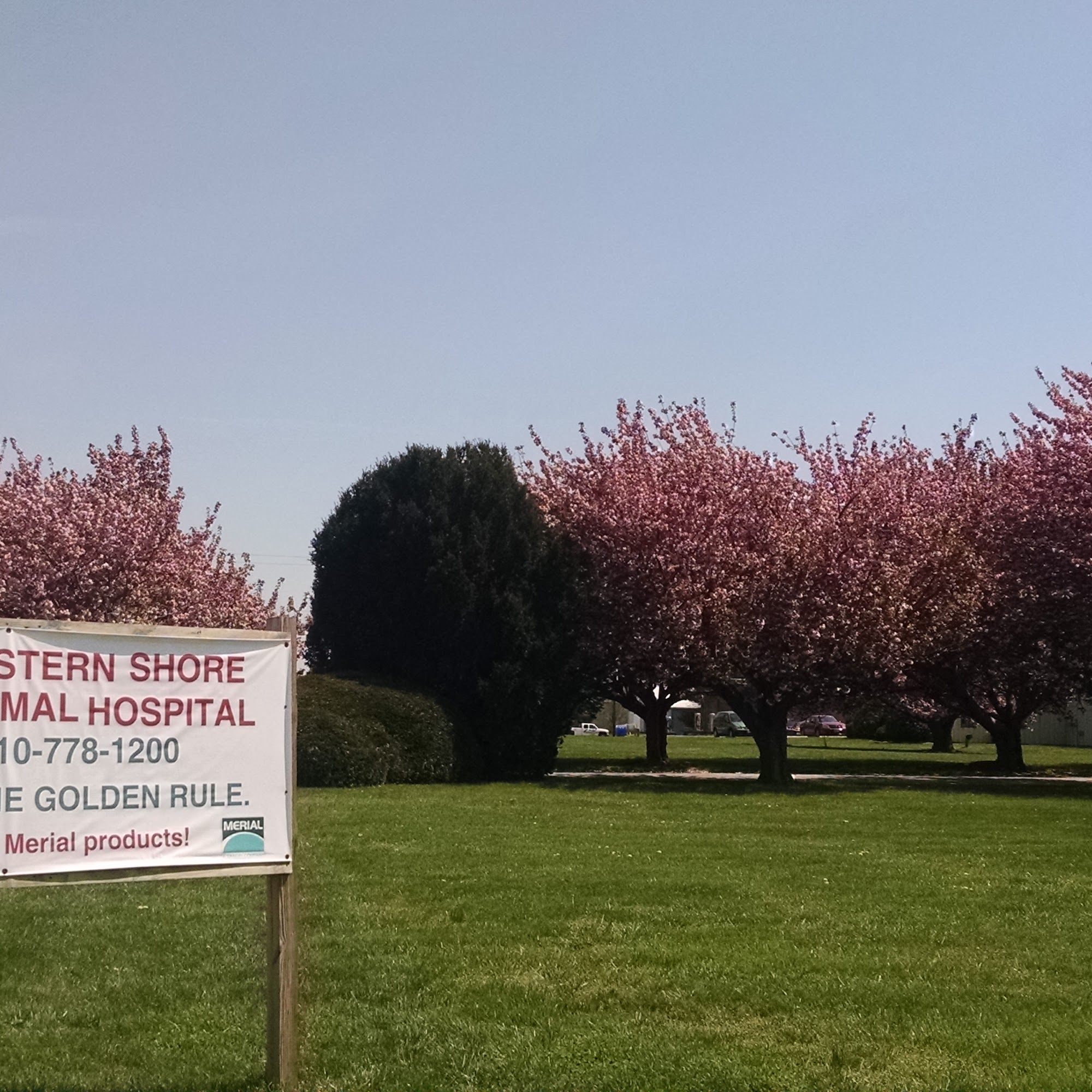 Eastern Shore Animal Hospital Chestertown