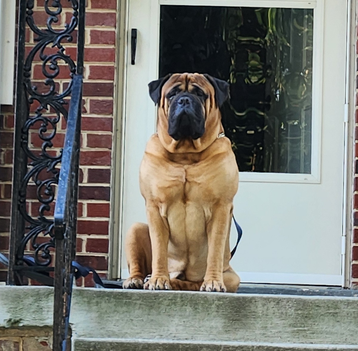 College Park Animal Hospital College Park