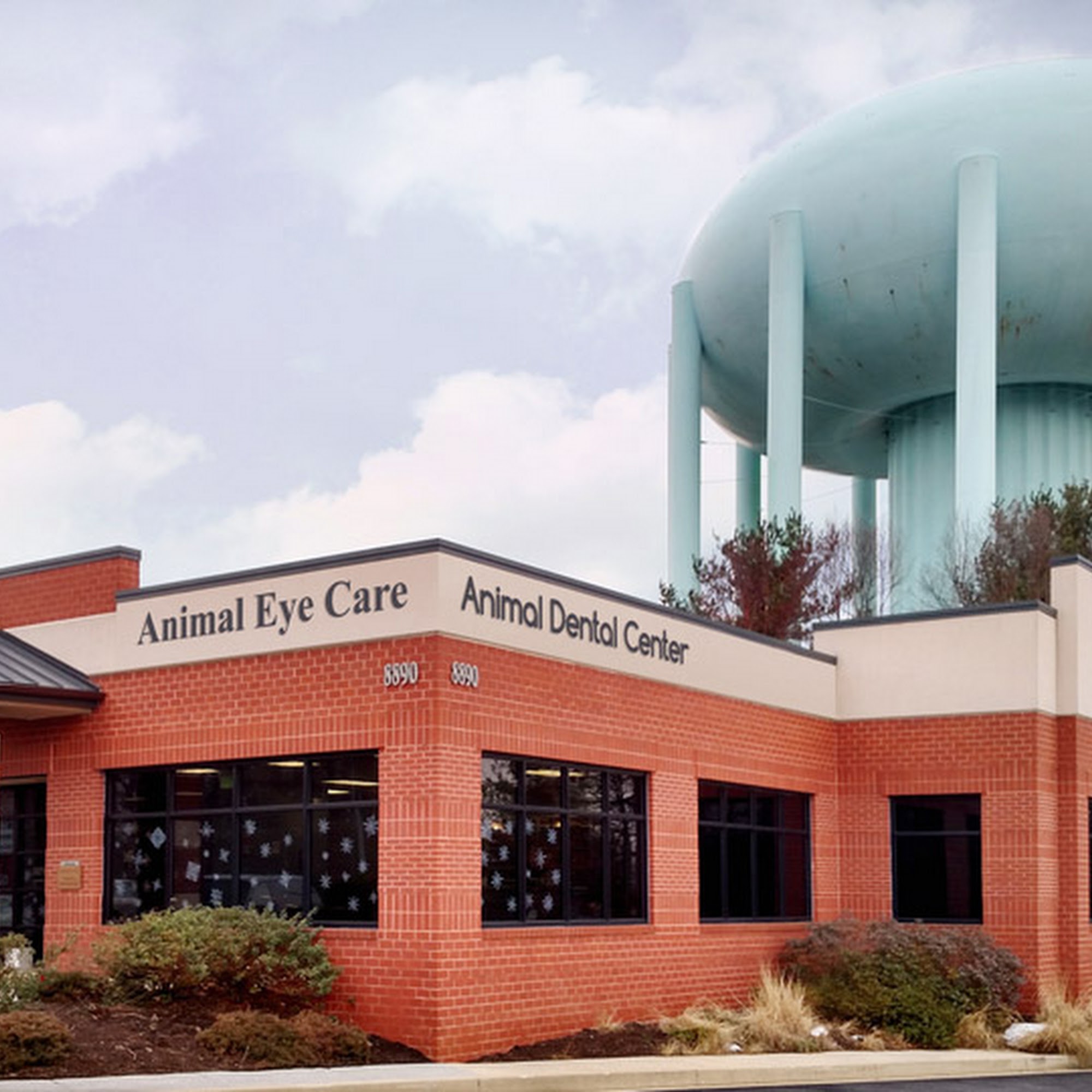 Animal Dental Center Columbia