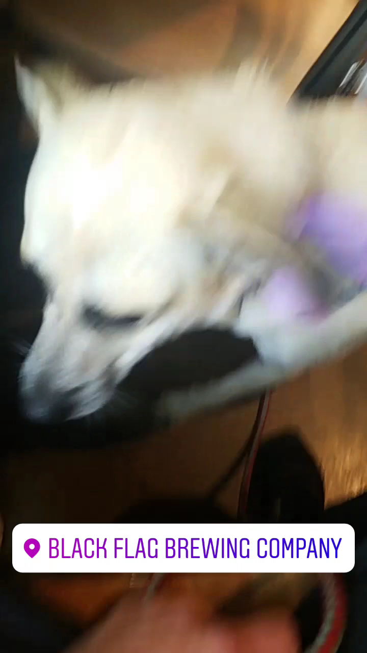 Black Flag Brewing Company Columbia