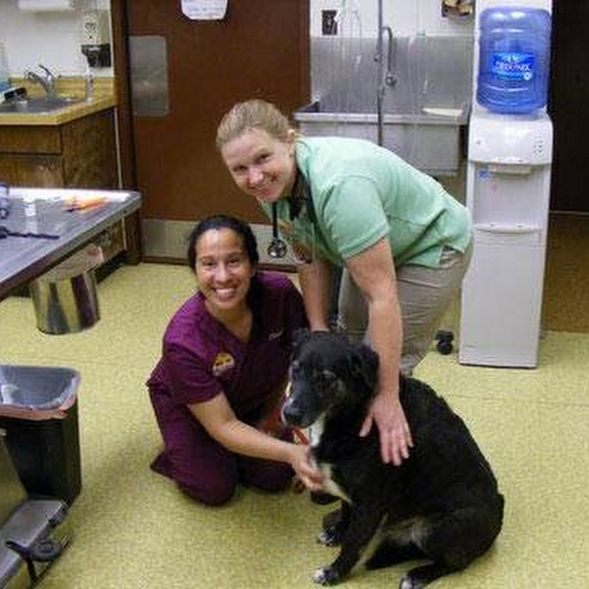 Bay Country Veterinary Hospital Crownsville