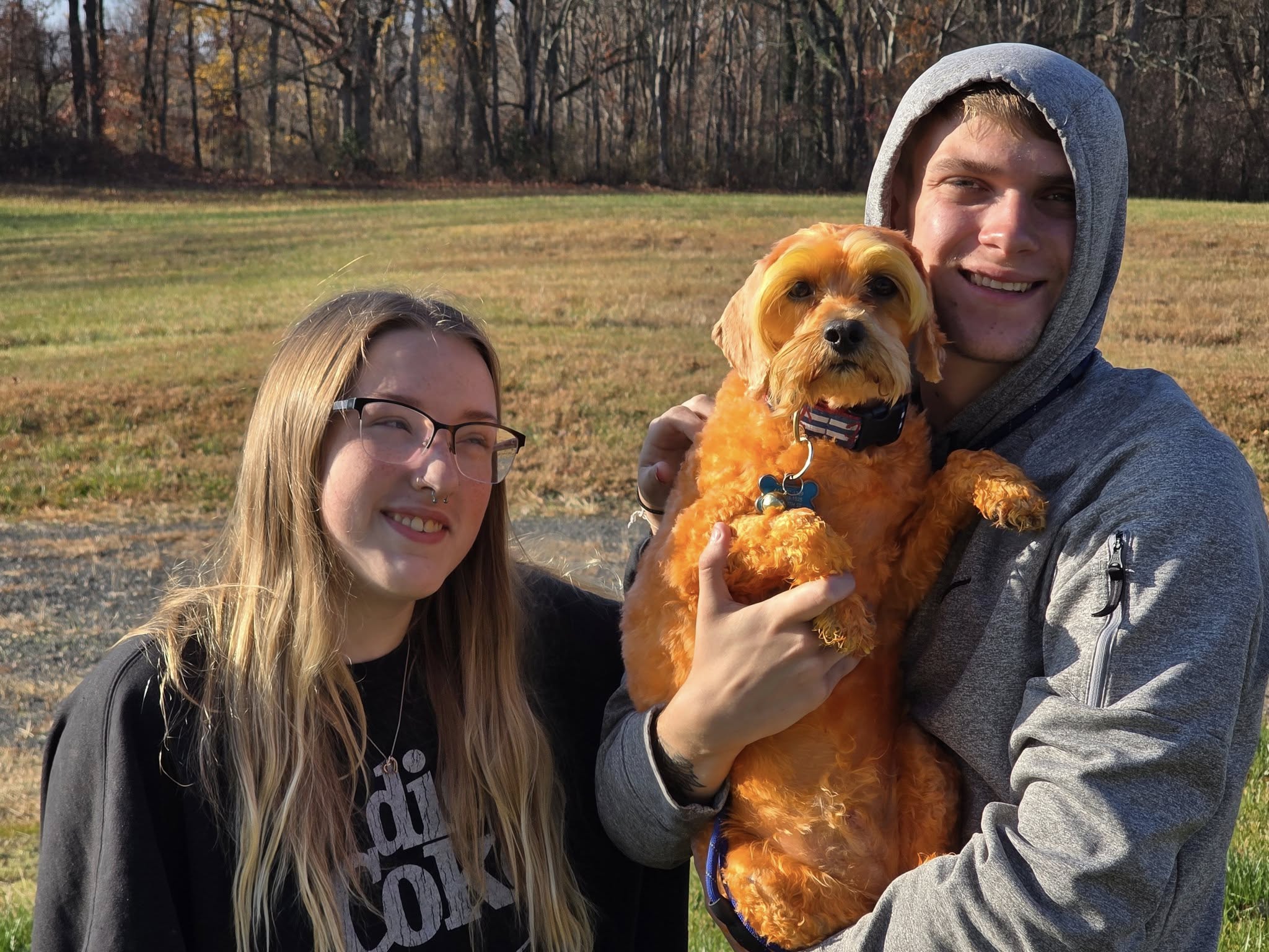 Crownsville Canine Crownsville