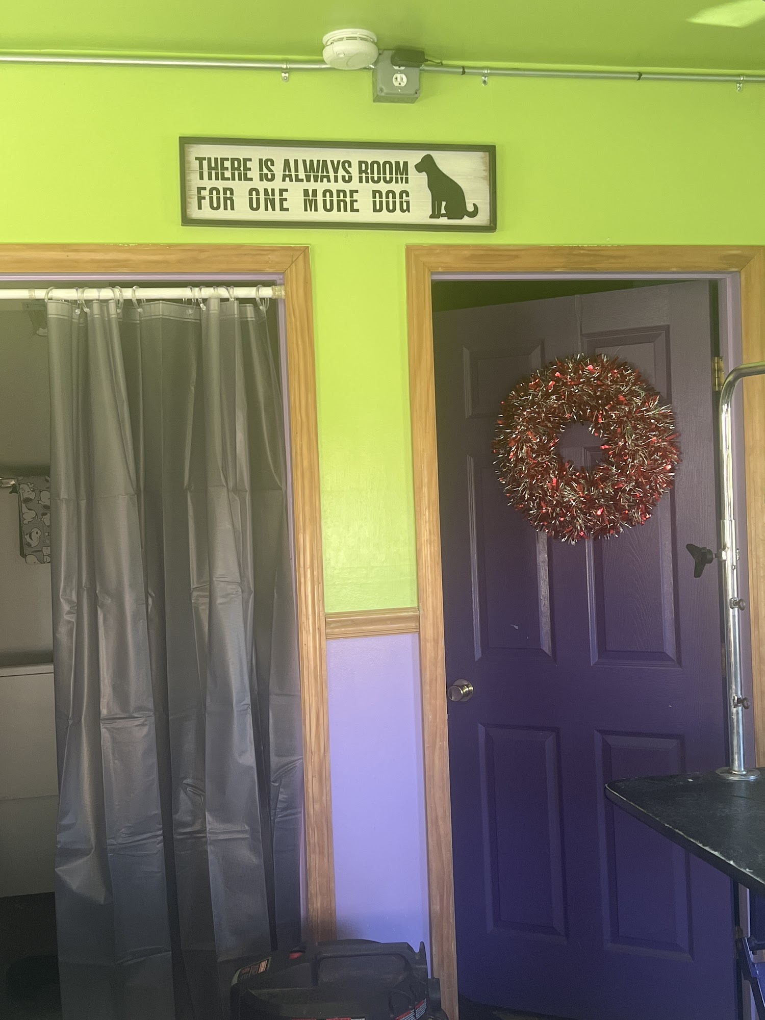 Strut Your Mutt Pet Groomer Cumberland