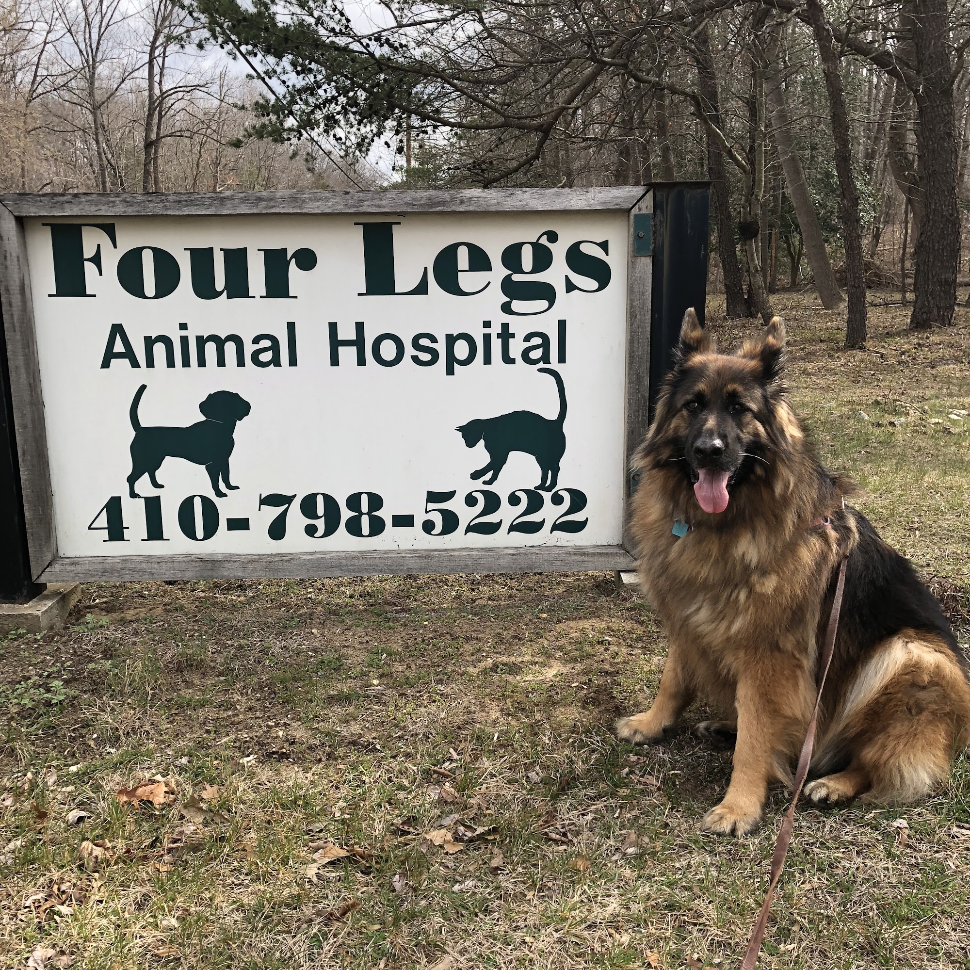 Four Legs Animal Hospital Davidsonville