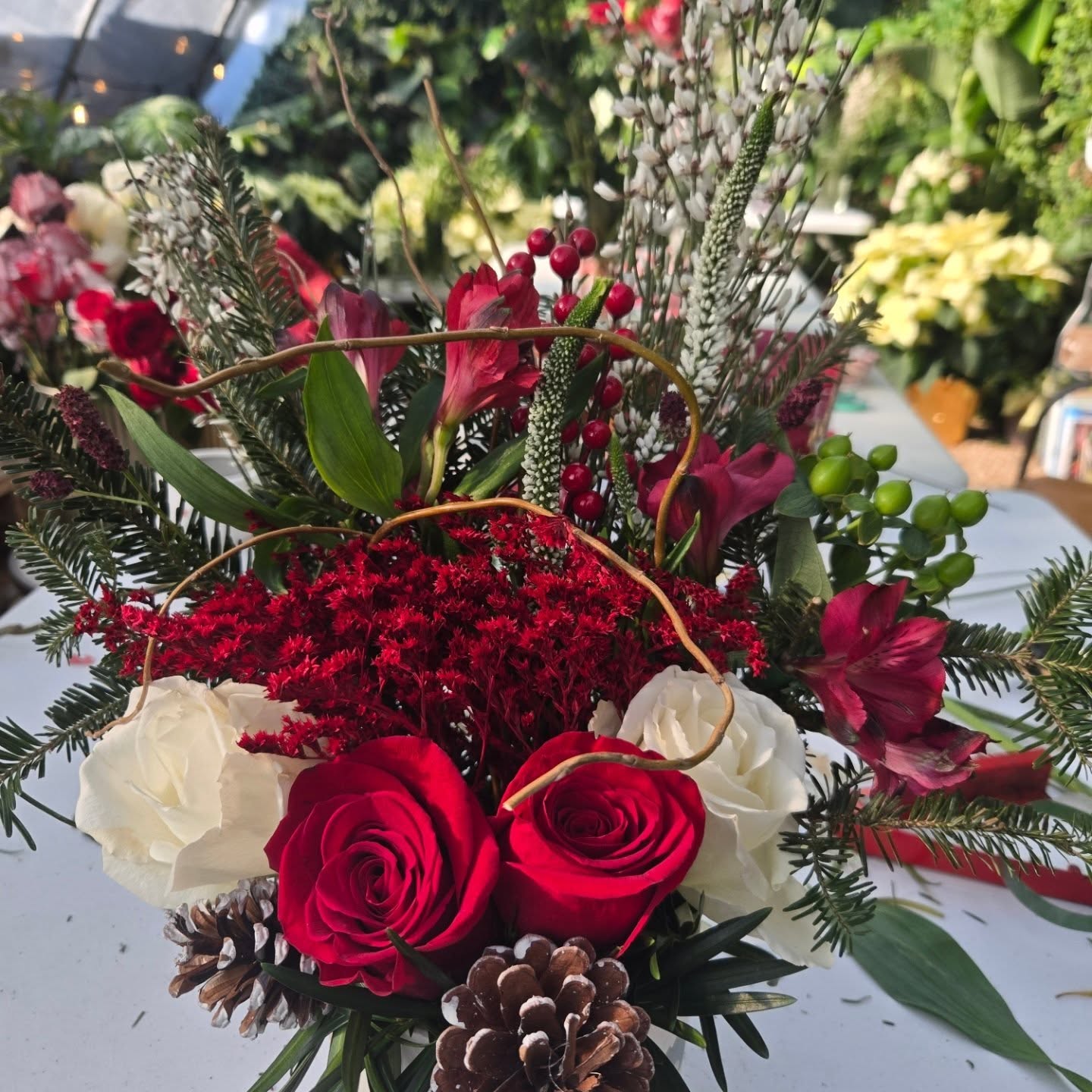 The Happy Seed Company Davidsonville